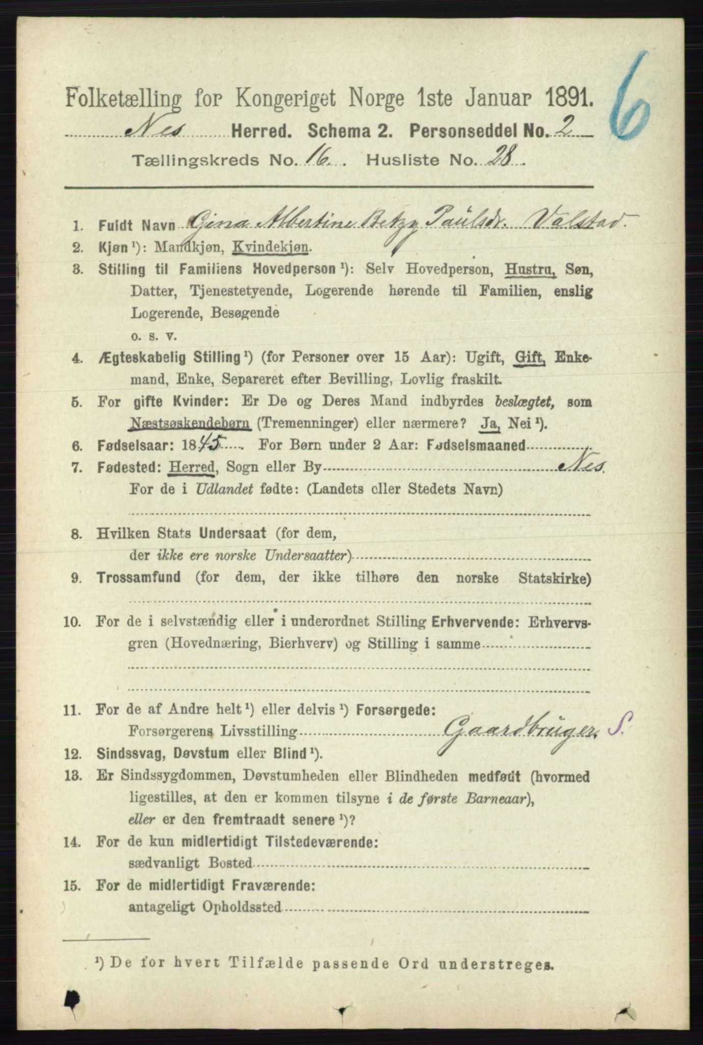 RA, 1891 census for 0236 Nes, 1891, p. 9722