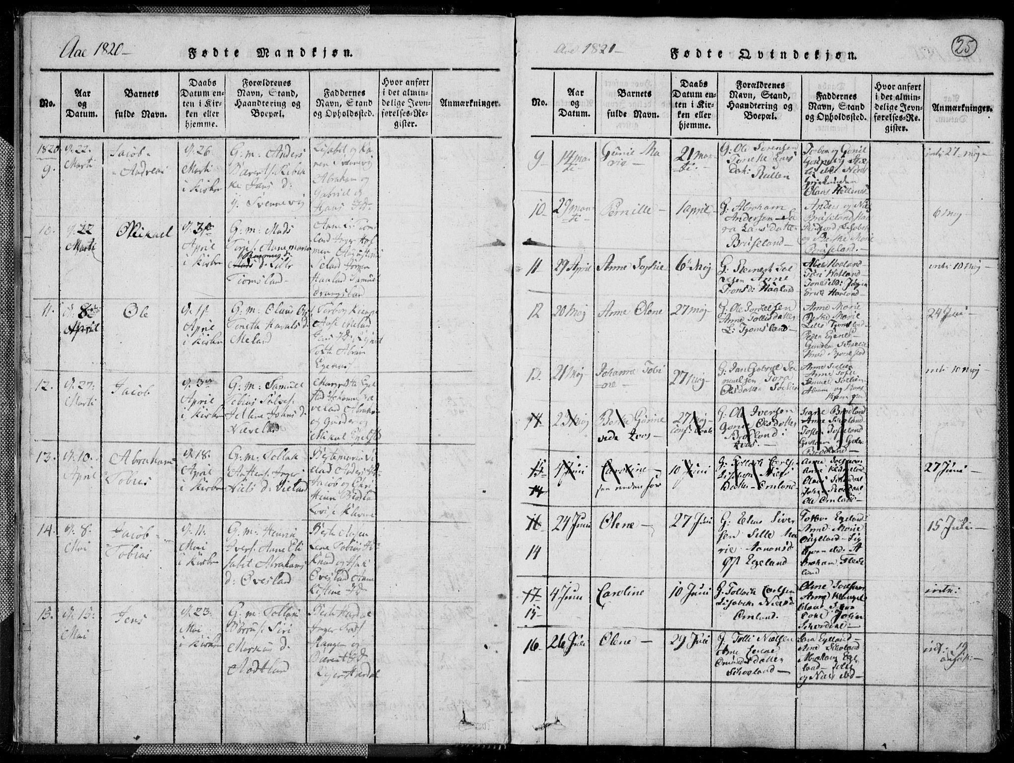 Lyngdal sokneprestkontor, AV/SAK-1111-0029/F/Fa/Fac/L0006: Parish register (official) no. A 6, 1815-1825, p. 25