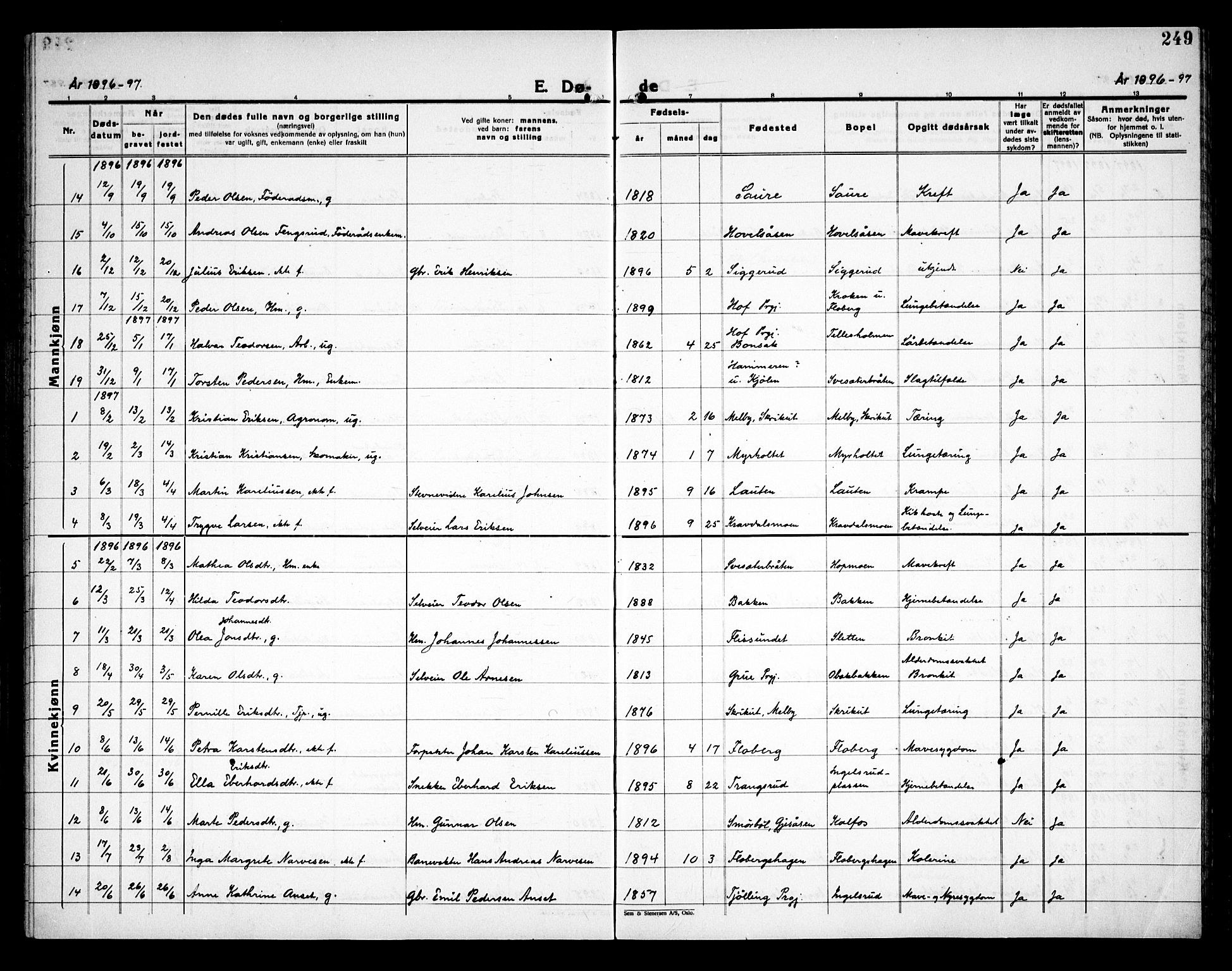 Åsnes prestekontor, SAH/PREST-042/H/Ha/Haa/L0000C: Parish register (official) no. 0A, 1890-1929, p. 249