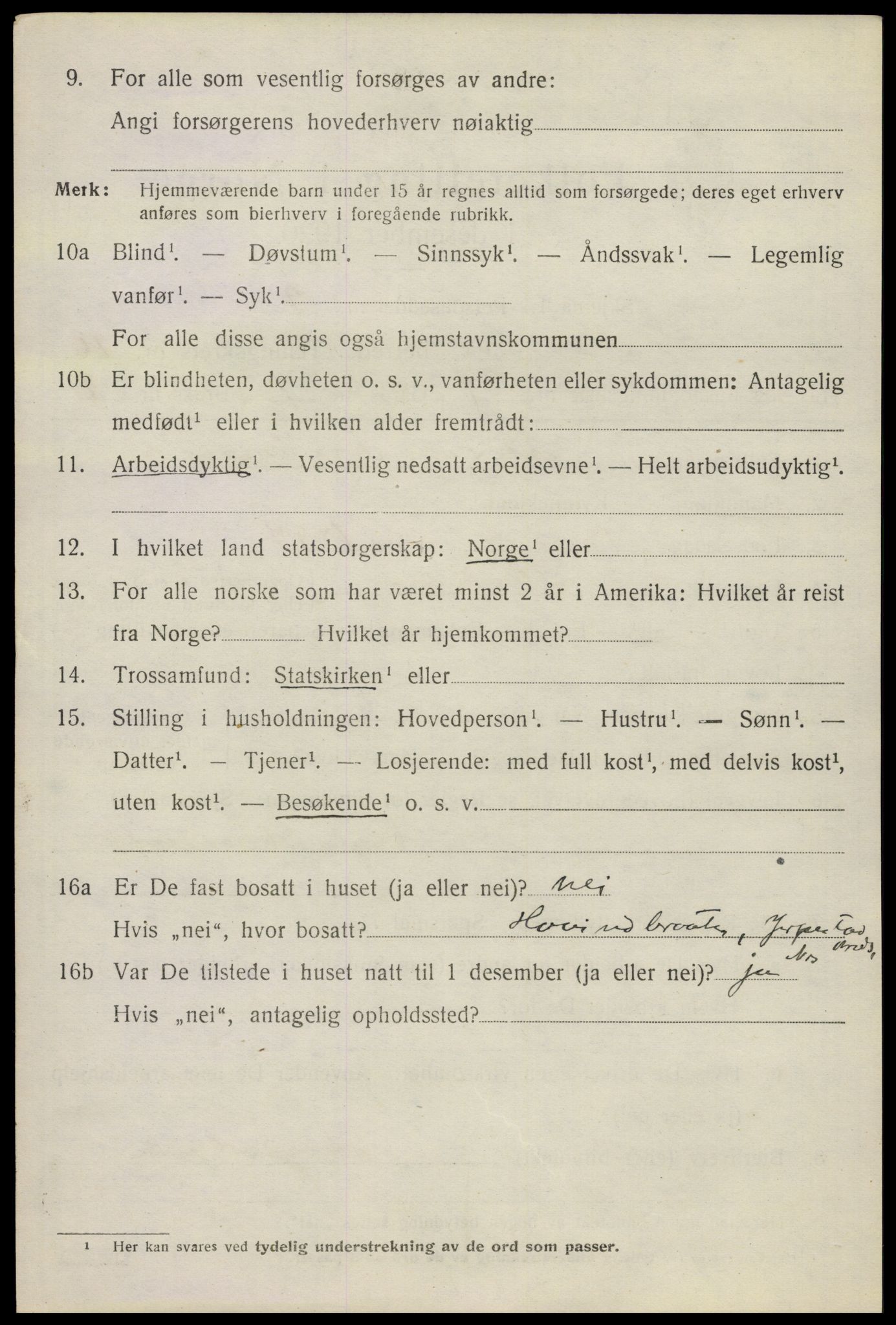 SAO, 1920 census for Nes, 1920, p. 16159