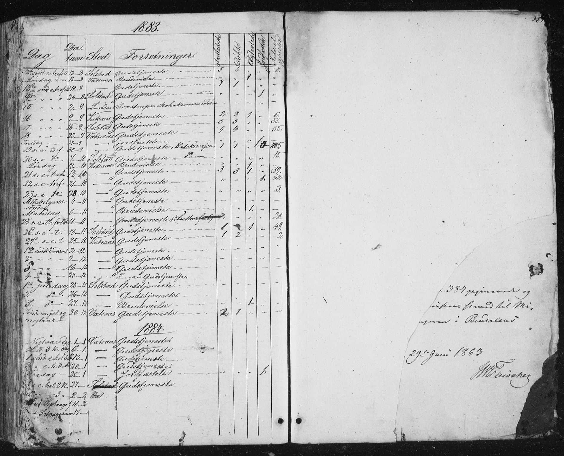 Ministerialprotokoller, klokkerbøker og fødselsregistre - Nordland, AV/SAT-A-1459/810/L0158: Parish register (copy) no. 810C02 /1, 1863-1883, p. 384