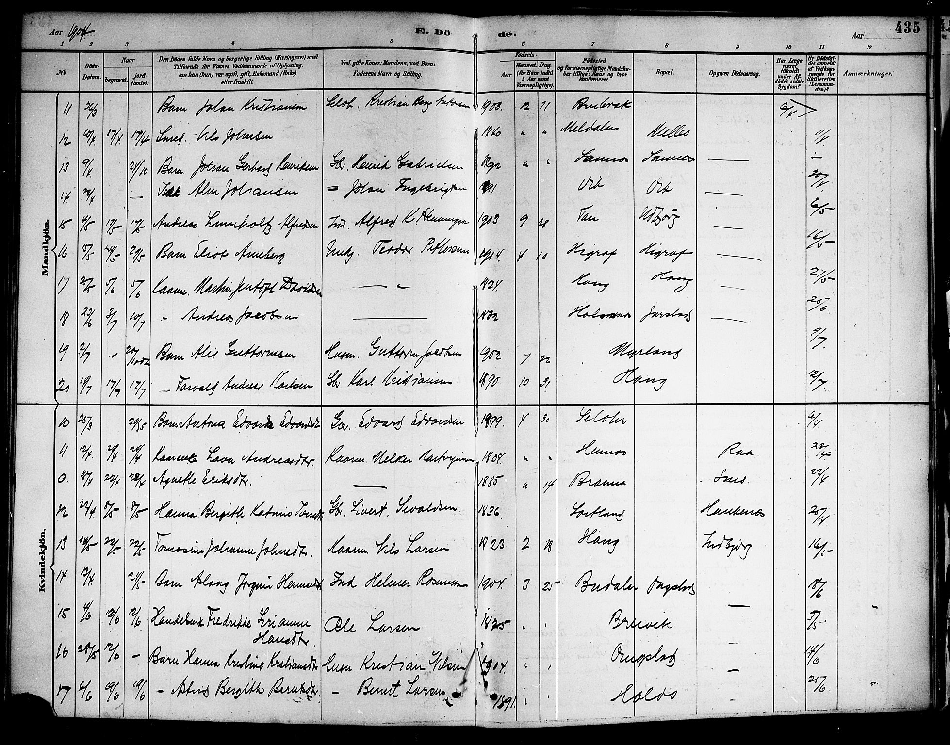 Ministerialprotokoller, klokkerbøker og fødselsregistre - Nordland, AV/SAT-A-1459/888/L1268: Parish register (copy) no. 888C06, 1891-1908, p. 435