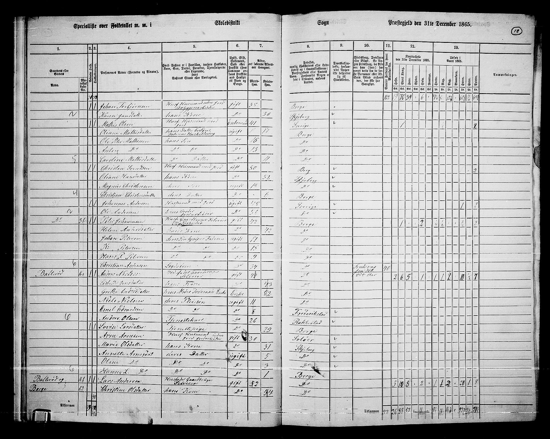 RA, 1865 census for Borge, 1865, p. 18