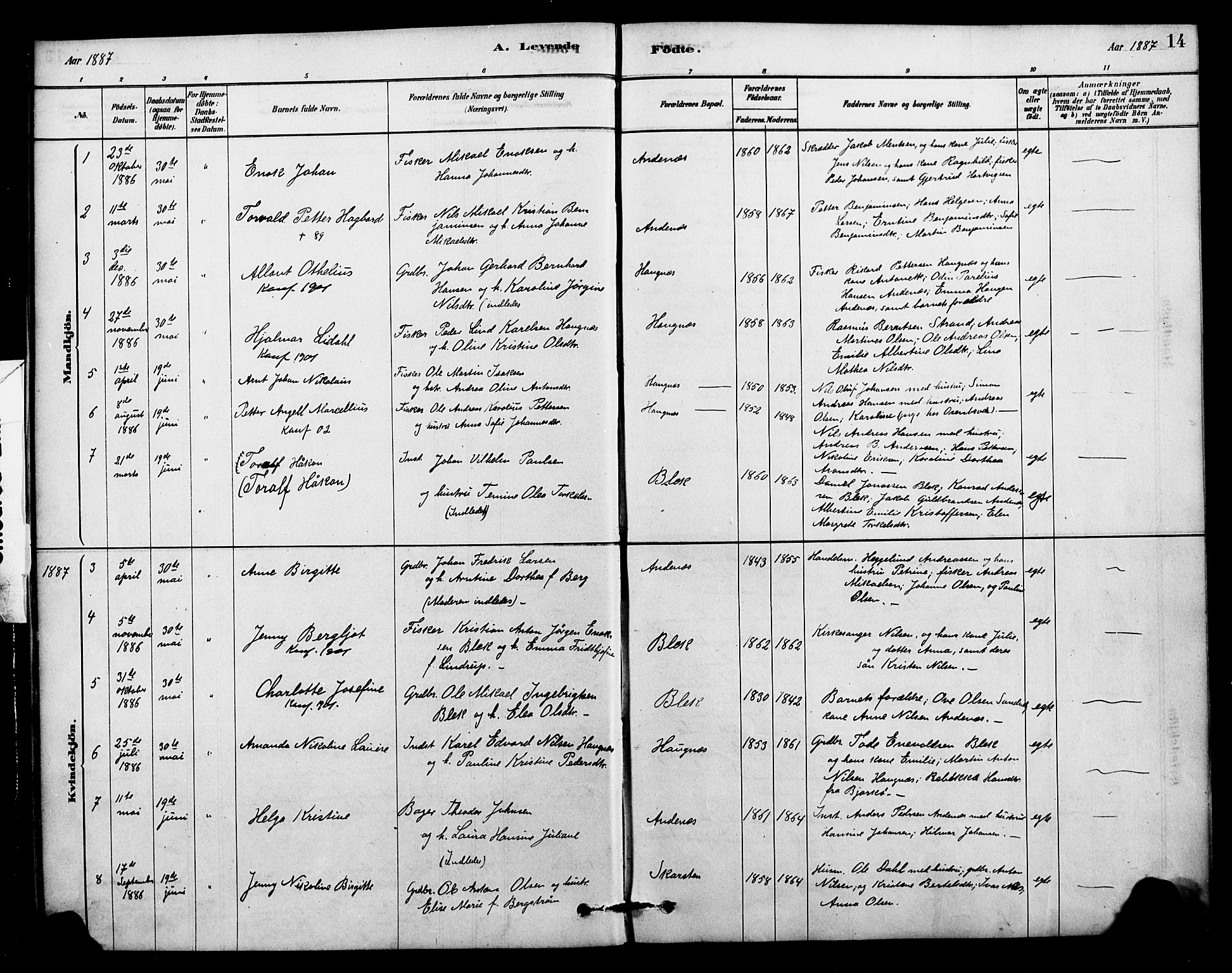 Ministerialprotokoller, klokkerbøker og fødselsregistre - Nordland, AV/SAT-A-1459/899/L1436: Parish register (official) no. 899A04, 1881-1896, p. 14