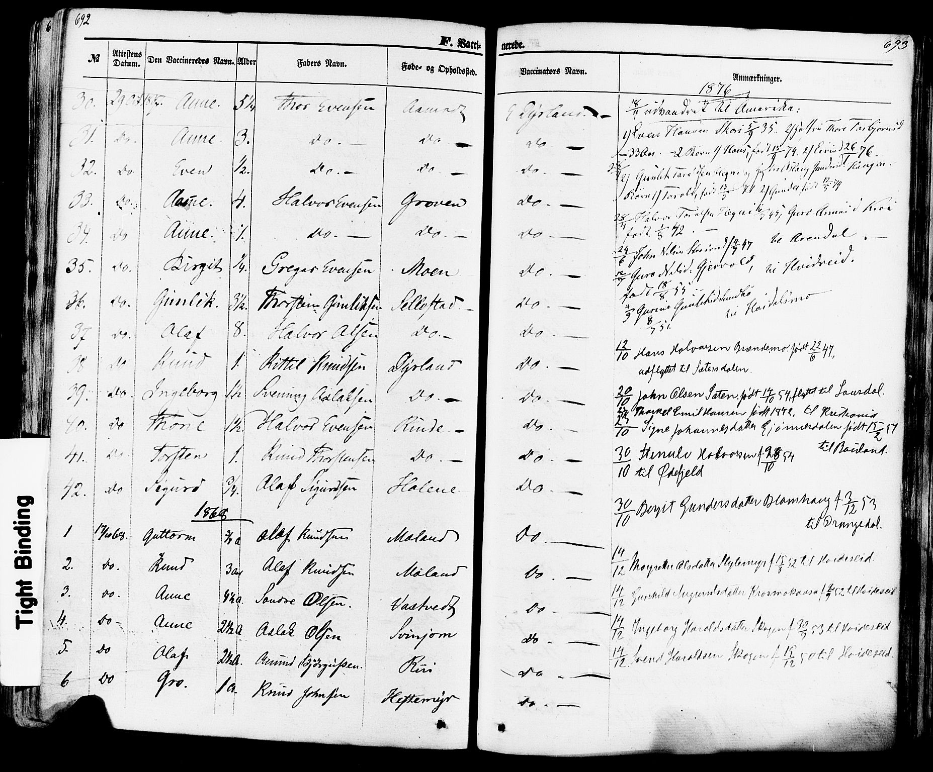 Seljord kirkebøker, SAKO/A-20/F/Fa/L0013: Parish register (official) no. I 13, 1866-1876, p. 692-693