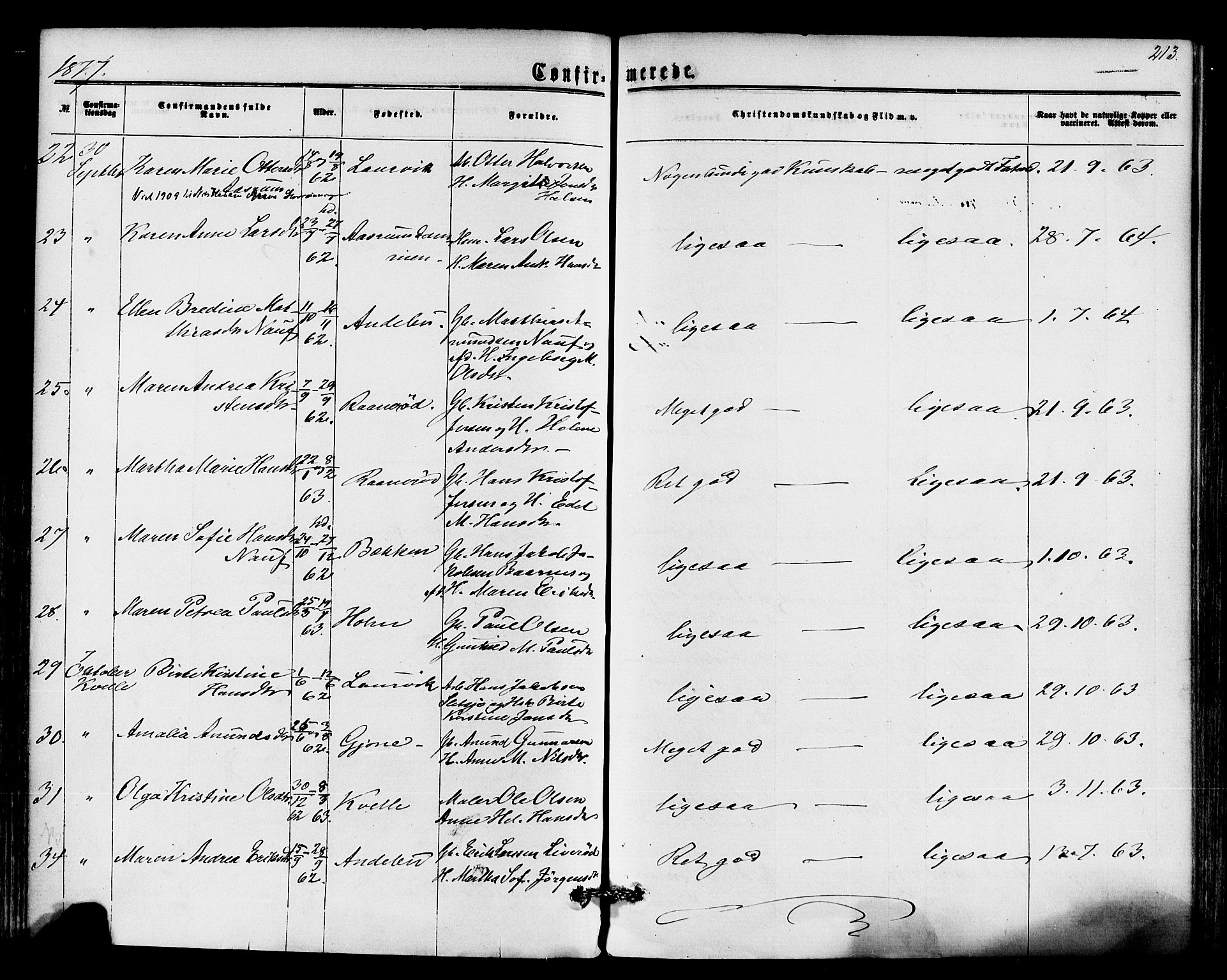 Hedrum kirkebøker, AV/SAKO-A-344/F/Fa/L0008: Parish register (official) no. I 8, 1869-1880, p. 213