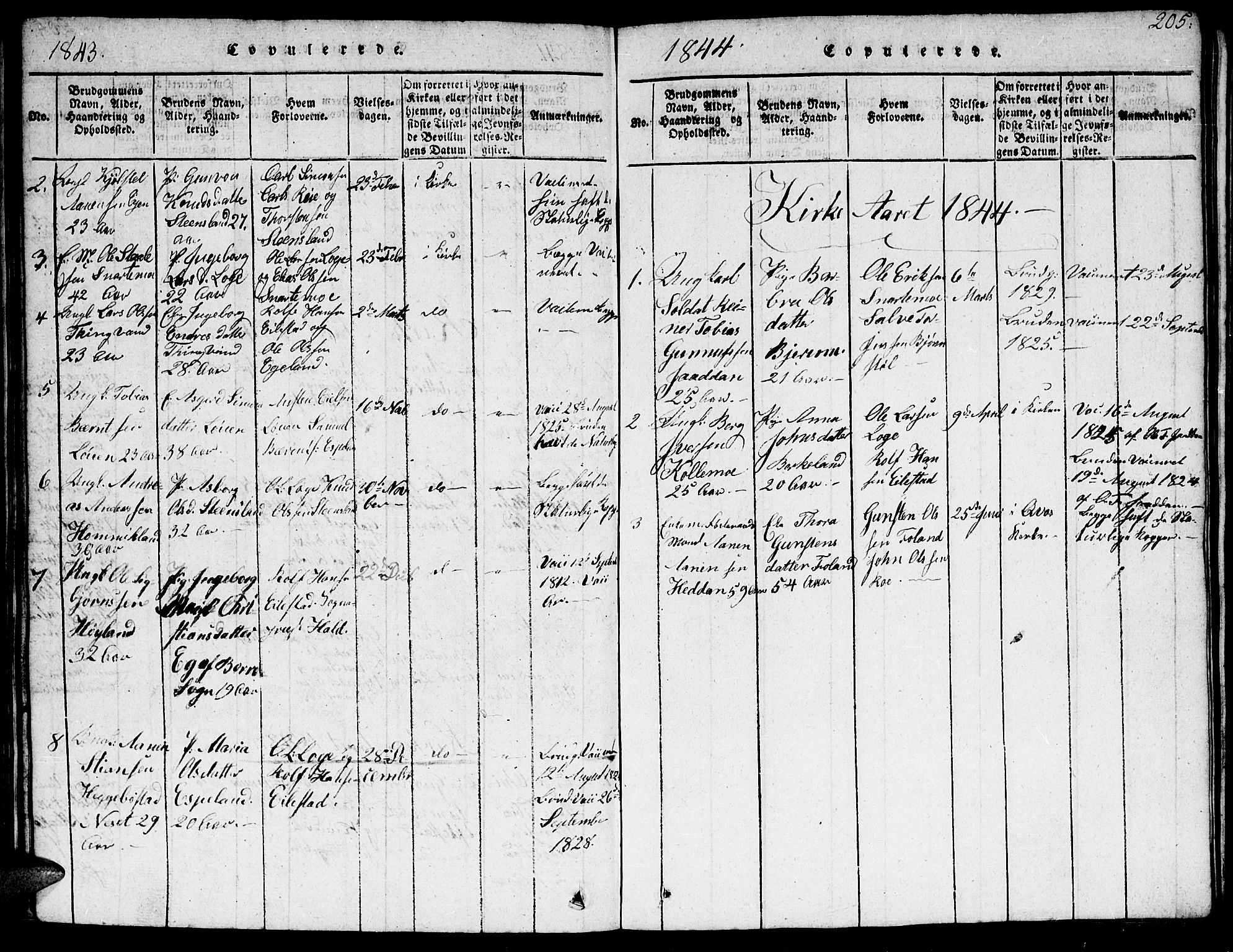 Hægebostad sokneprestkontor, AV/SAK-1111-0024/F/Fb/Fba/L0001: Parish register (copy) no. B 1, 1815-1844, p. 205