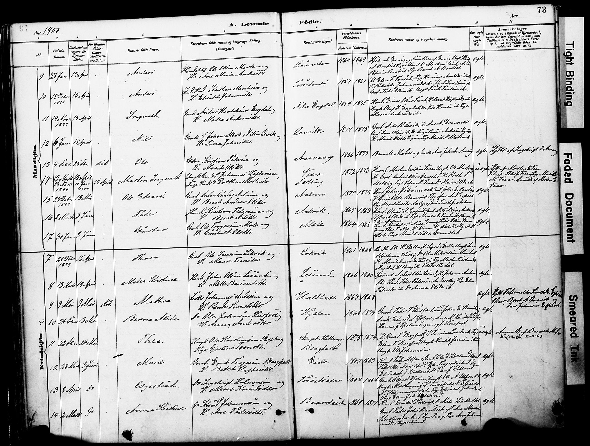 Ministerialprotokoller, klokkerbøker og fødselsregistre - Møre og Romsdal, AV/SAT-A-1454/578/L0907: Parish register (official) no. 578A06, 1887-1904, p. 73