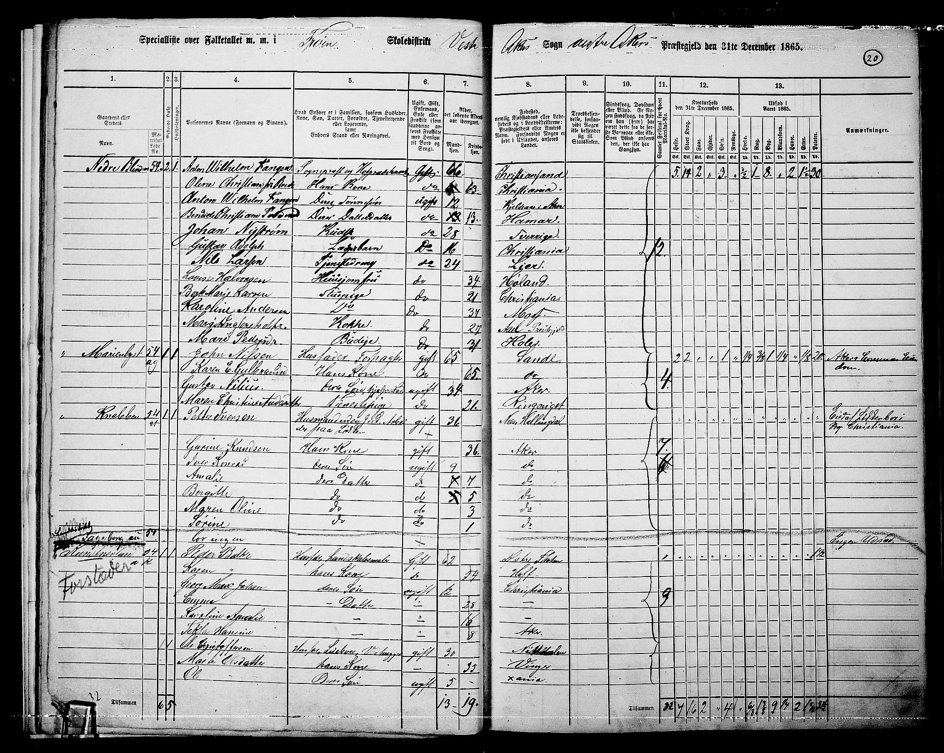 RA, 1865 census for Vestre Aker, 1865, p. 17