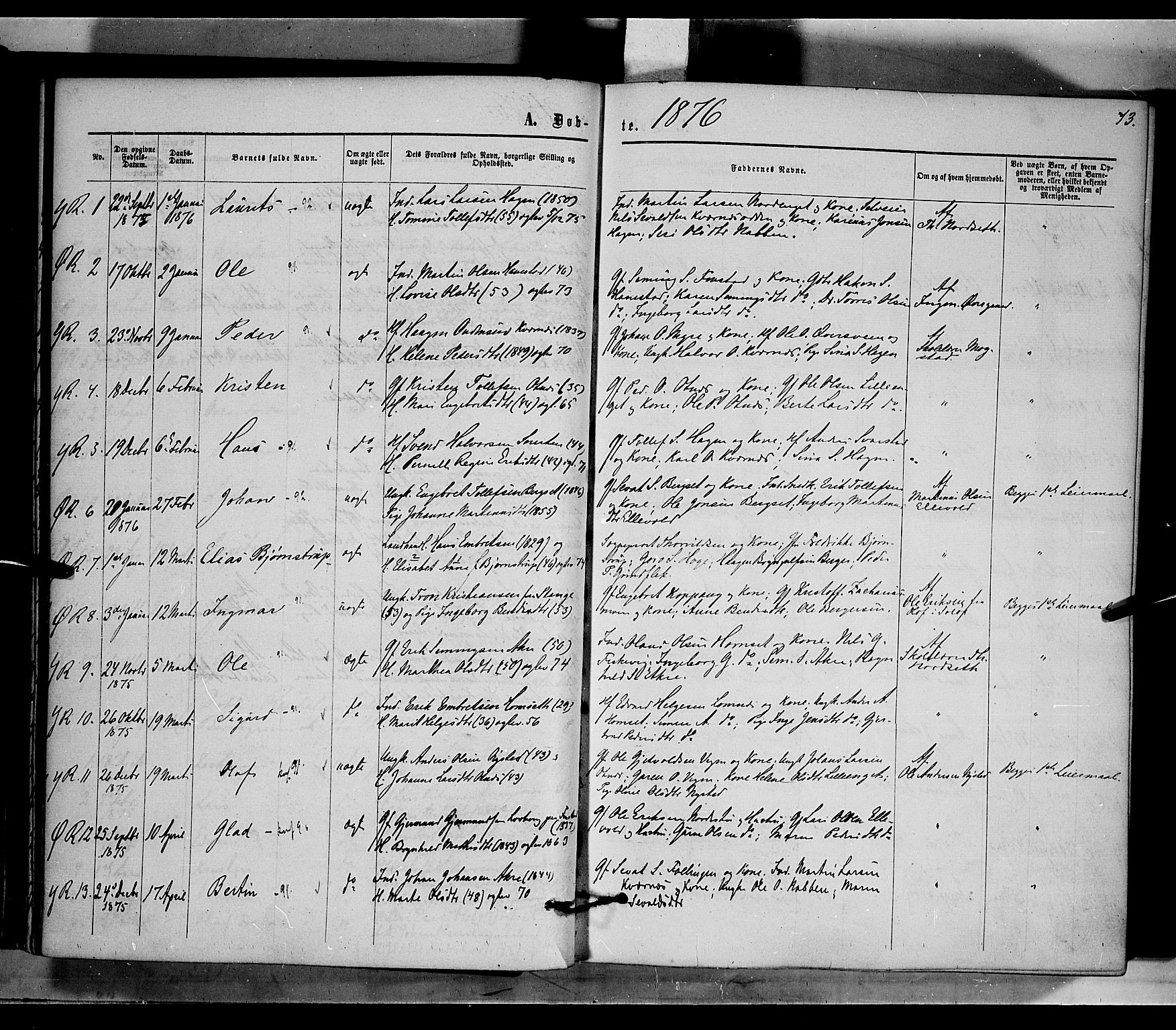 Rendalen prestekontor, SAH/PREST-054/H/Ha/Haa/L0006: Parish register (official) no. 6, 1867-1877, p. 73