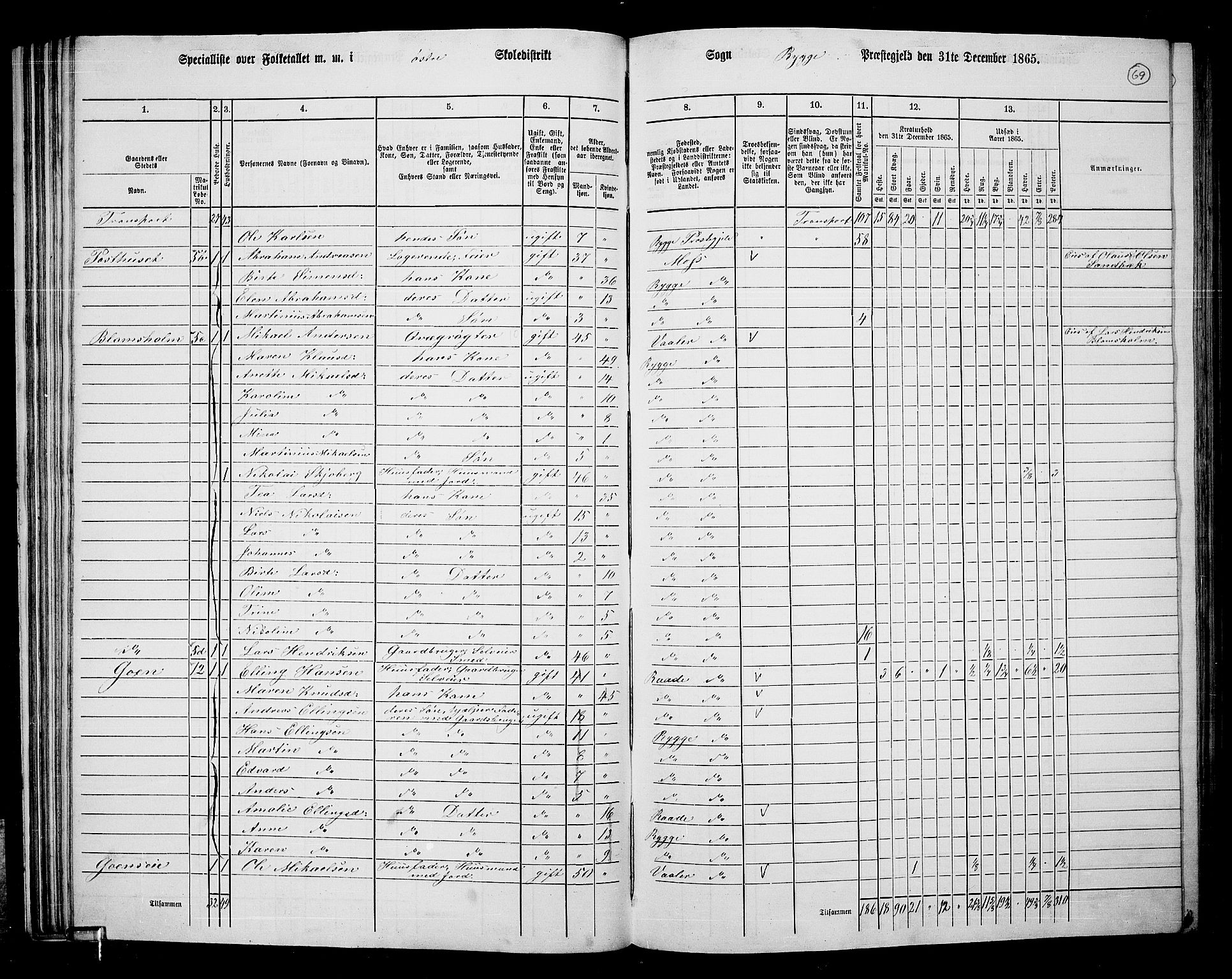 RA, 1865 census for Rygge, 1865, p. 12