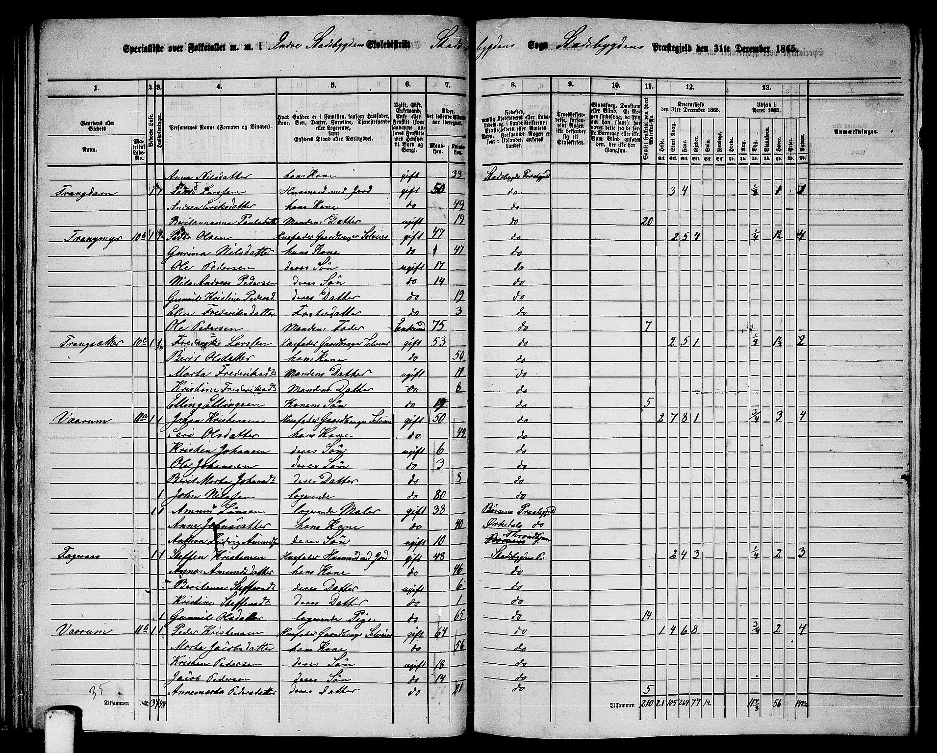 RA, 1865 census for Stadsbygd, 1865, p. 43