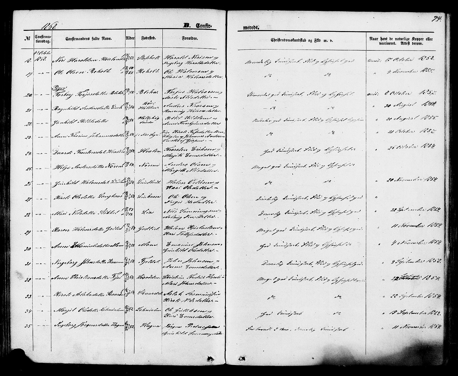 Lunde kirkebøker, AV/SAKO-A-282/F/Fa/L0001: Parish register (official) no. I 1, 1866-1883, p. 74