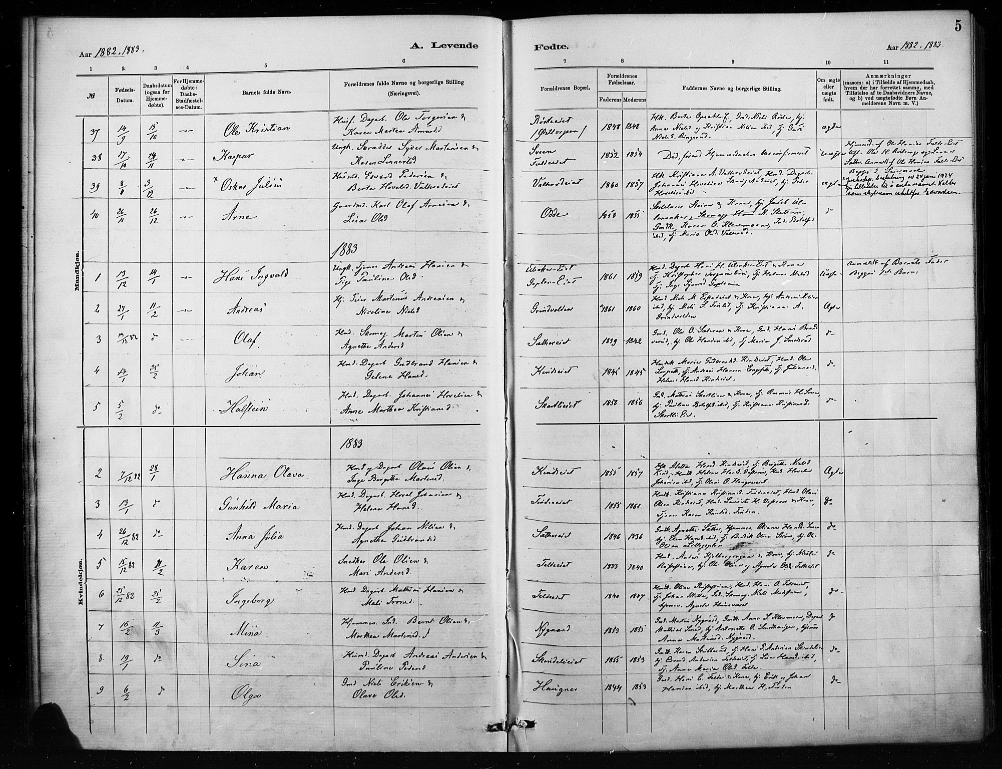 Nordre Land prestekontor, SAH/PREST-124/H/Ha/Haa/L0004: Parish register (official) no. 4, 1882-1896, p. 5