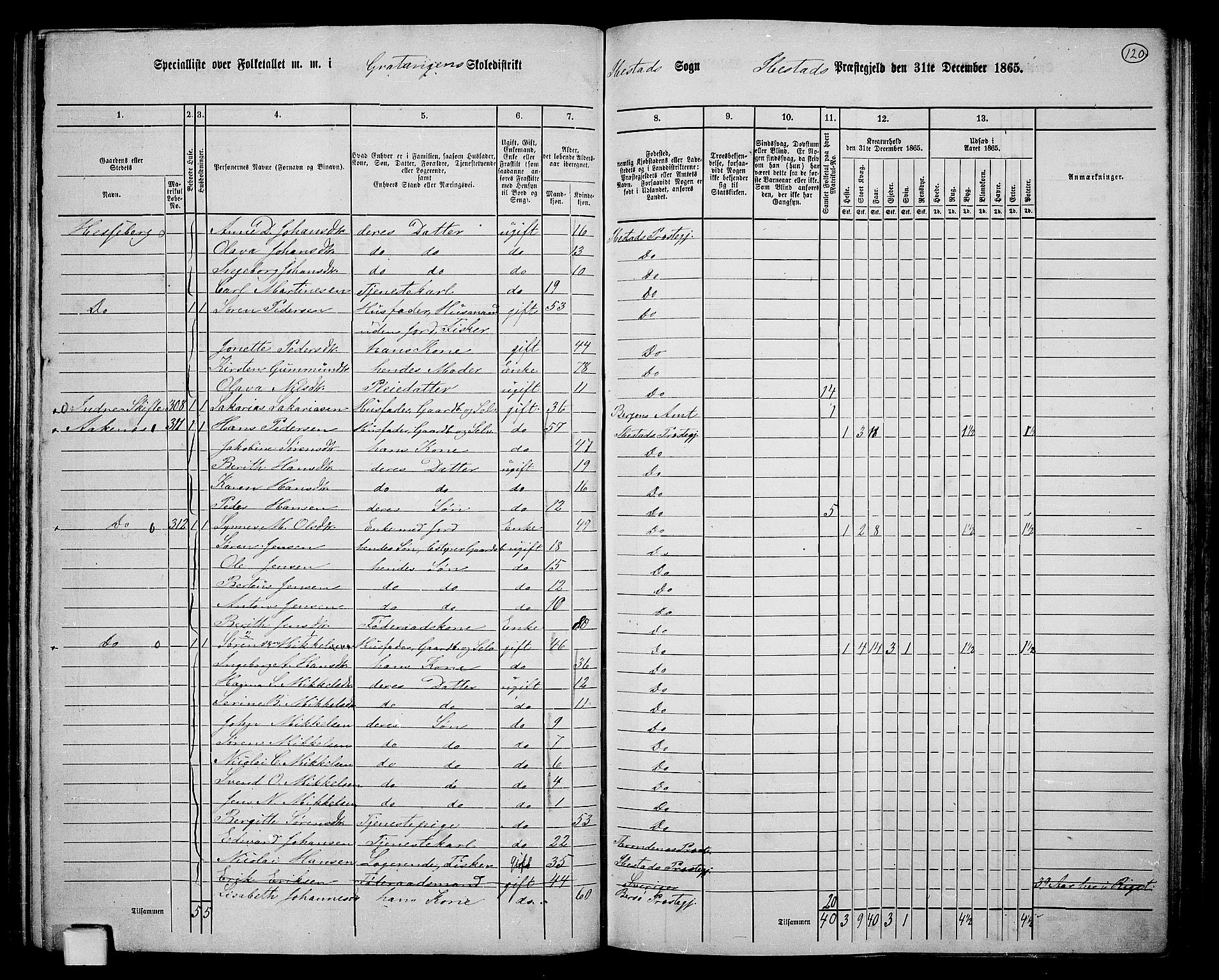 RA, 1865 census for Ibestad, 1865, p. 113