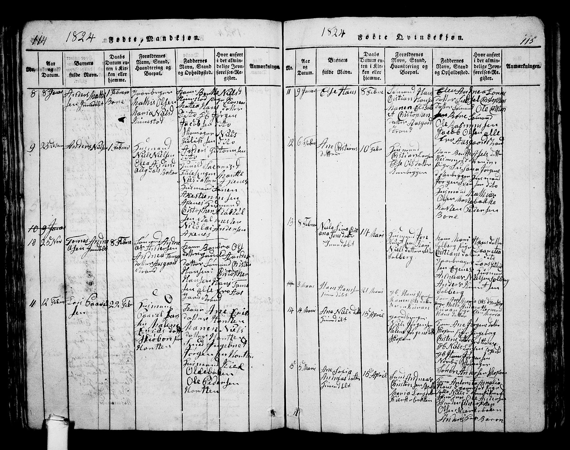 Borre kirkebøker, AV/SAKO-A-338/G/Ga/L0001: Parish register (copy) no. I 1, 1815-1851, p. 114-115