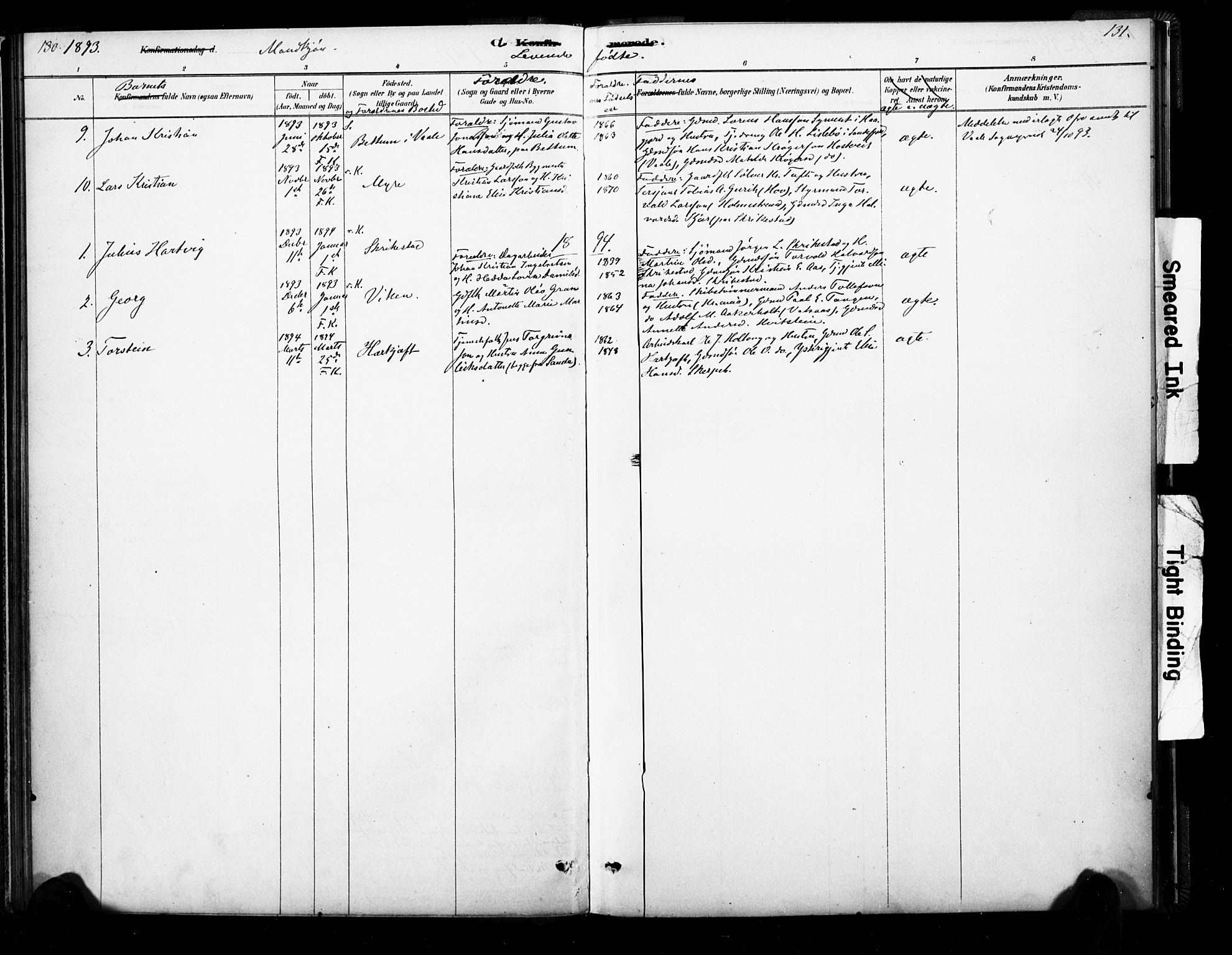 Ramnes kirkebøker, AV/SAKO-A-314/F/Fb/L0001: Parish register (official) no. II 1, 1878-1894, p. 130-131