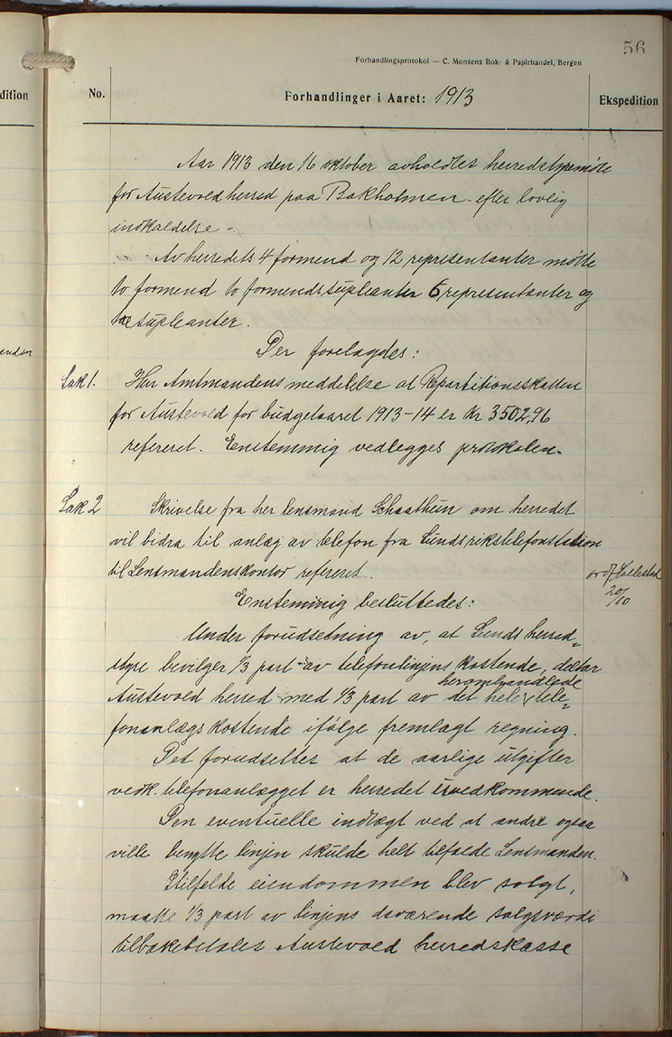 Austevoll kommune. Formannskapet, IKAH/1244-021/A/Aa/L0002b: Møtebok for heradstyret, 1910-1919, p. 113