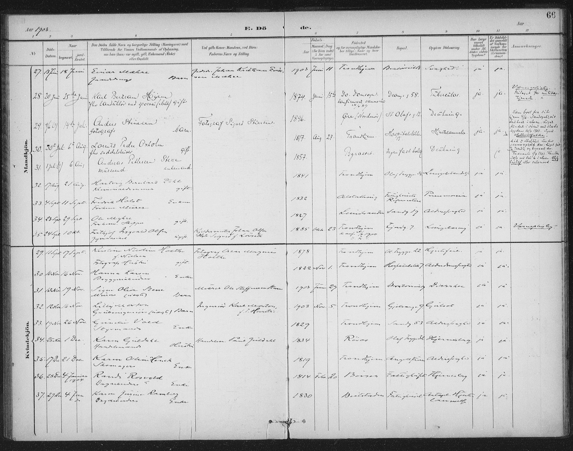 Ministerialprotokoller, klokkerbøker og fødselsregistre - Sør-Trøndelag, SAT/A-1456/602/L0123: Parish register (official) no. 602A21, 1895-1910, p. 66