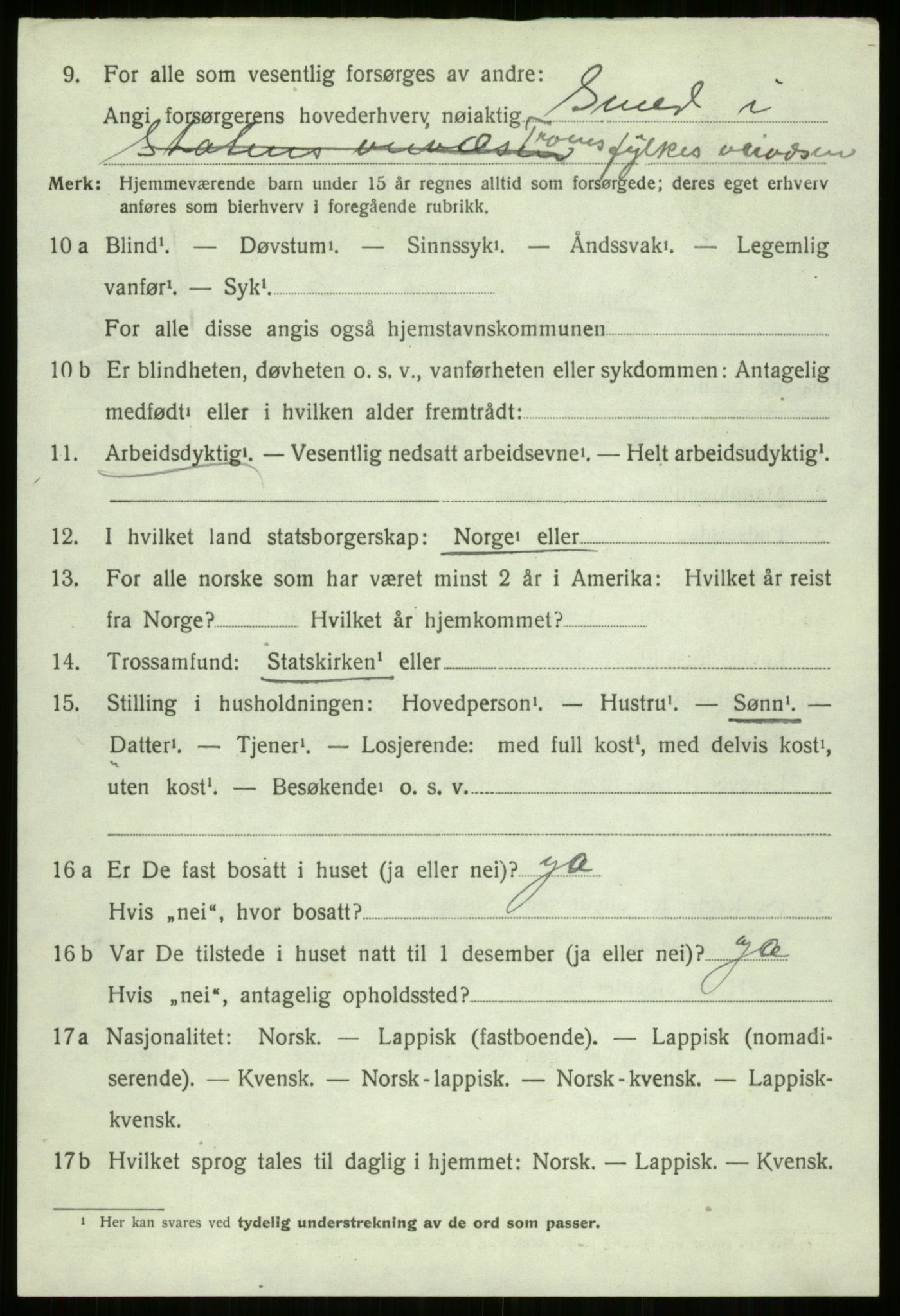 SATØ, 1920 census for Trondenes, 1920, p. 19293