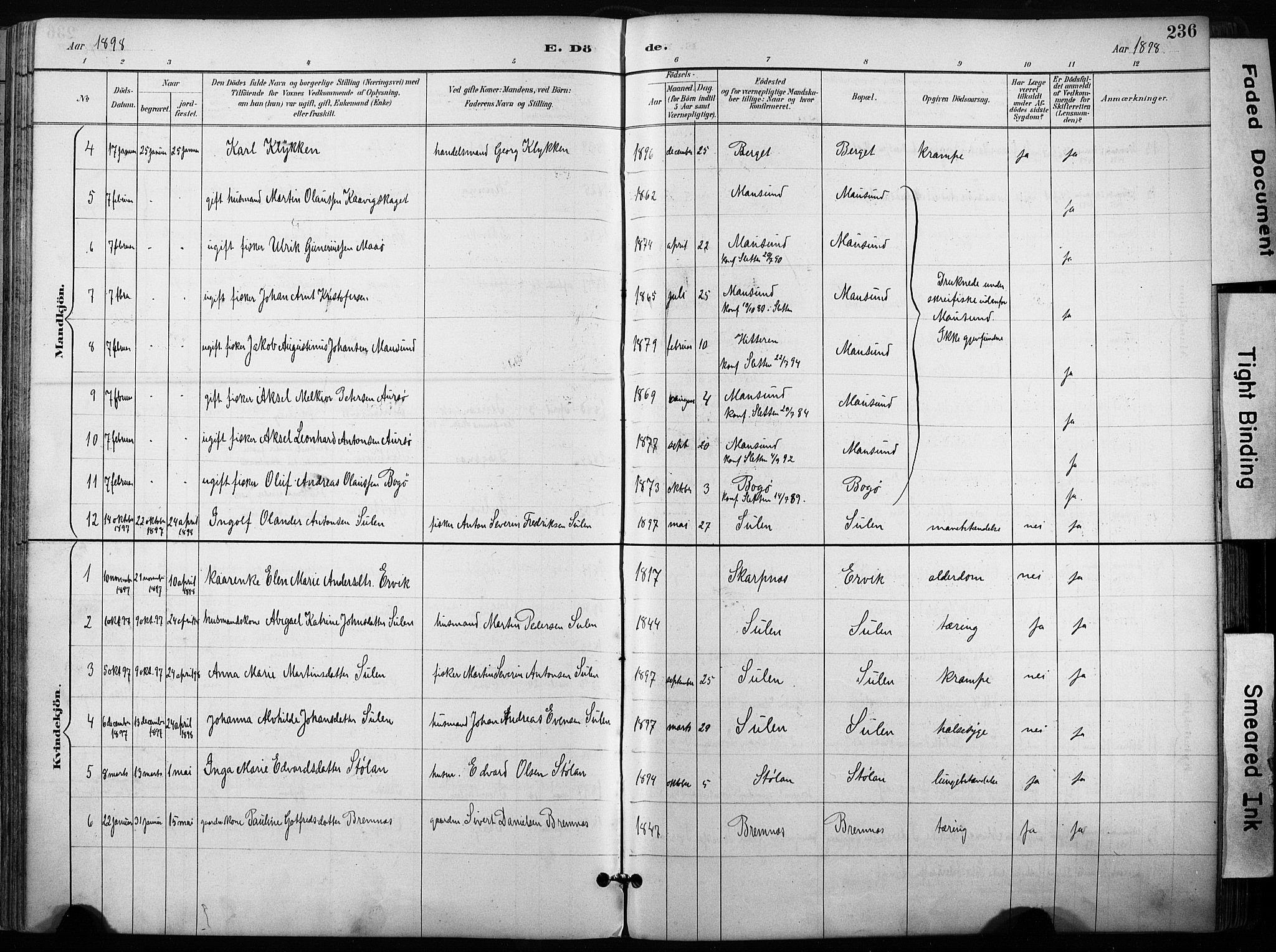 Ministerialprotokoller, klokkerbøker og fødselsregistre - Sør-Trøndelag, AV/SAT-A-1456/640/L0579: Parish register (official) no. 640A04, 1889-1902, p. 236