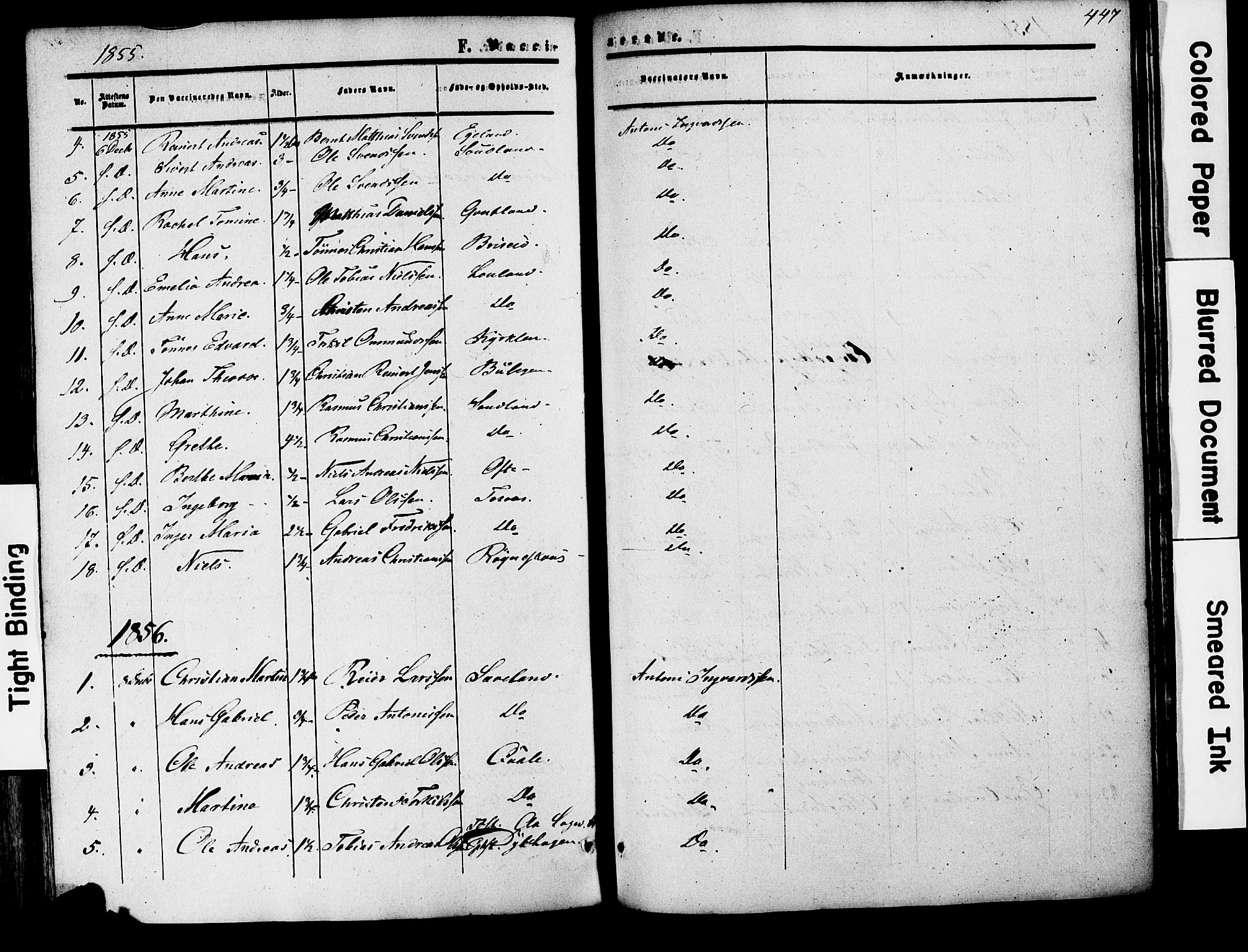 Herad sokneprestkontor, AV/SAK-1111-0018/F/Fa/Faa/L0005: Parish register (official) no. A 5, 1853-1886, p. 447