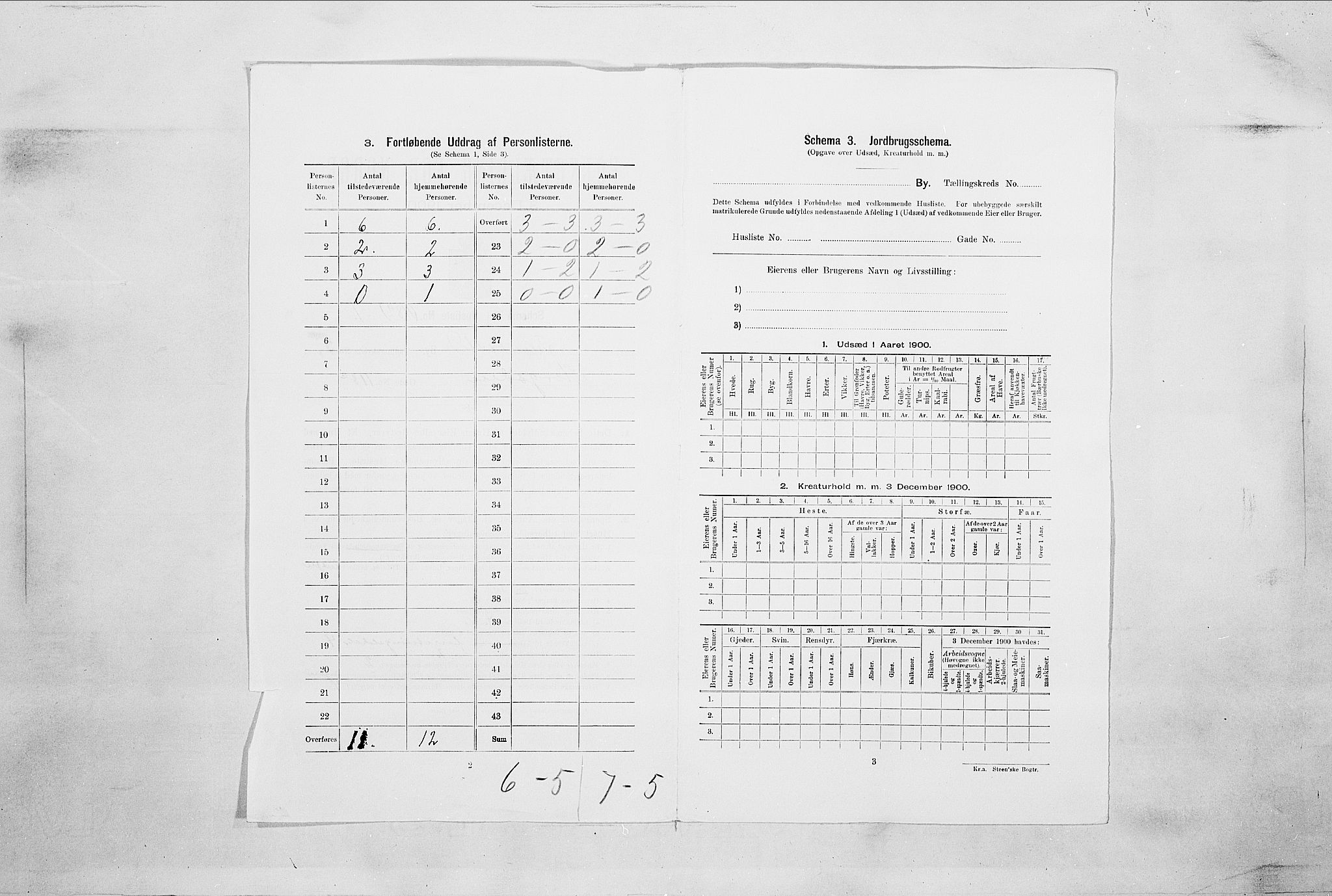 SAO, 1900 census for Fredrikstad, 1900