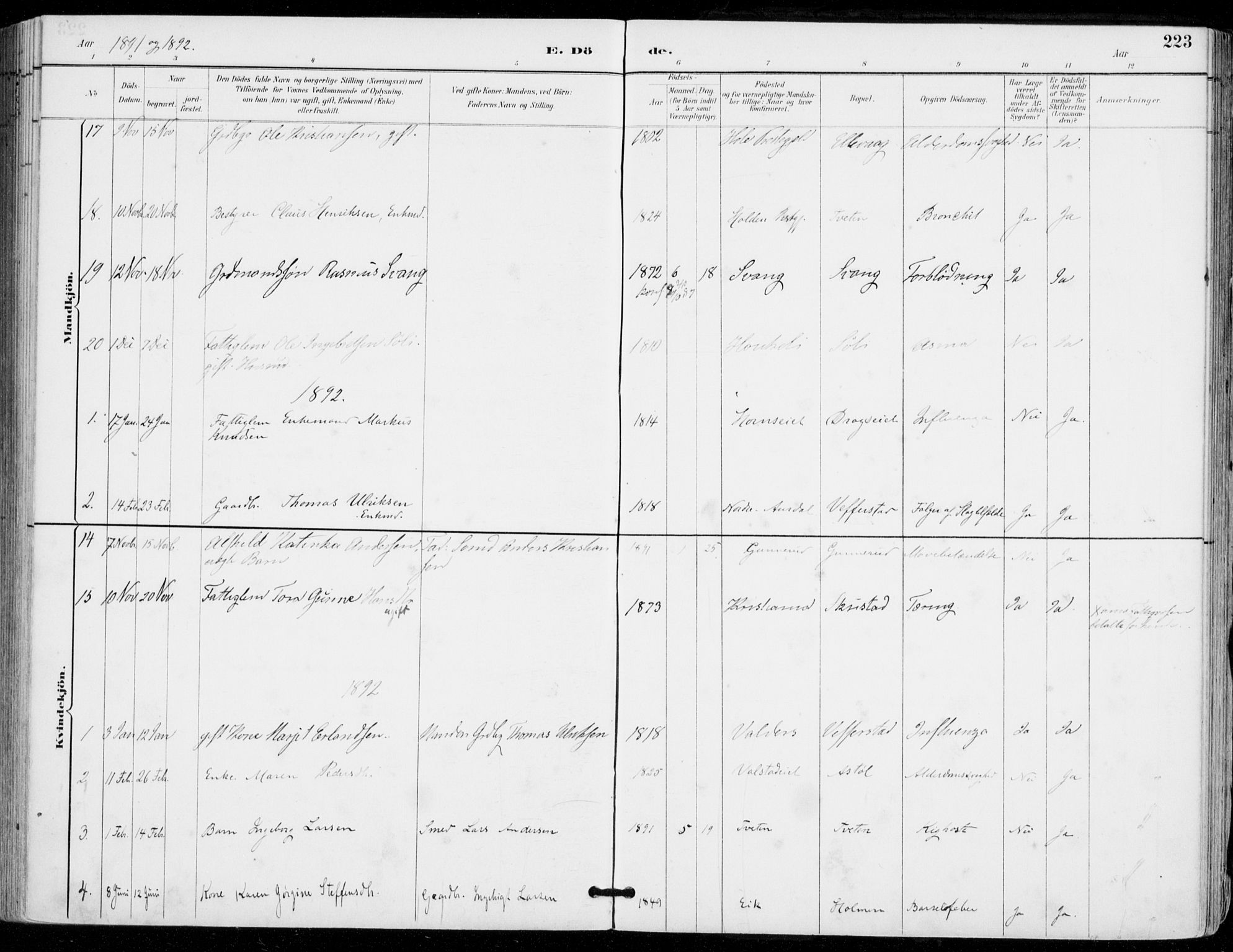 Sylling kirkebøker, SAKO/A-247/F/Fa/L0001: Parish register (official) no. 1, 1883-1910, p. 223