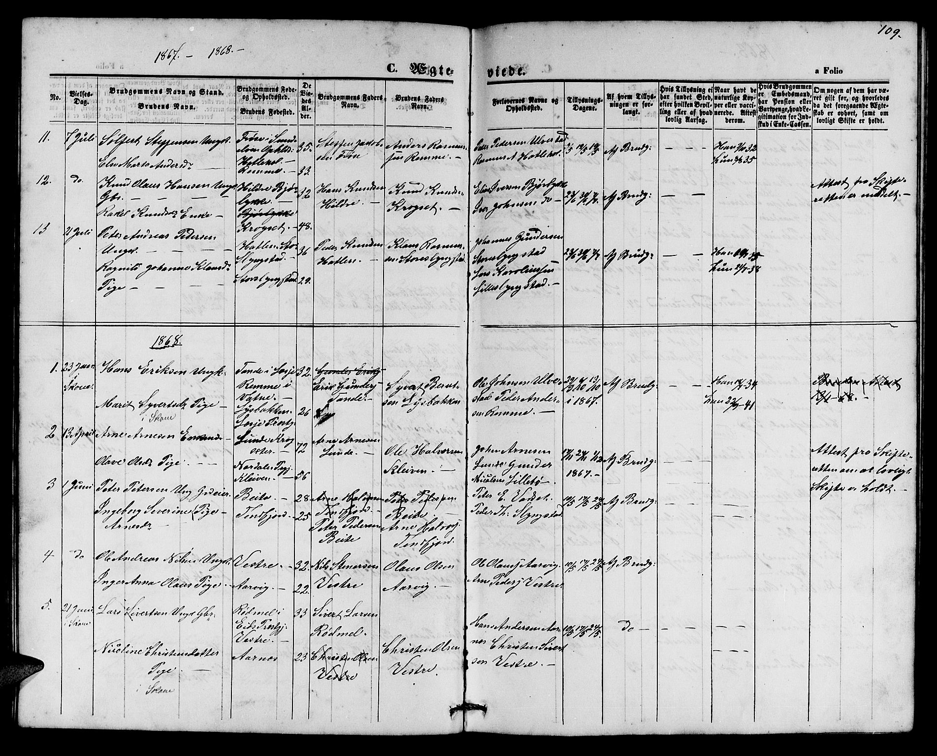 Ministerialprotokoller, klokkerbøker og fødselsregistre - Møre og Romsdal, AV/SAT-A-1454/525/L0375: Parish register (copy) no. 525C01, 1865-1879, p. 109