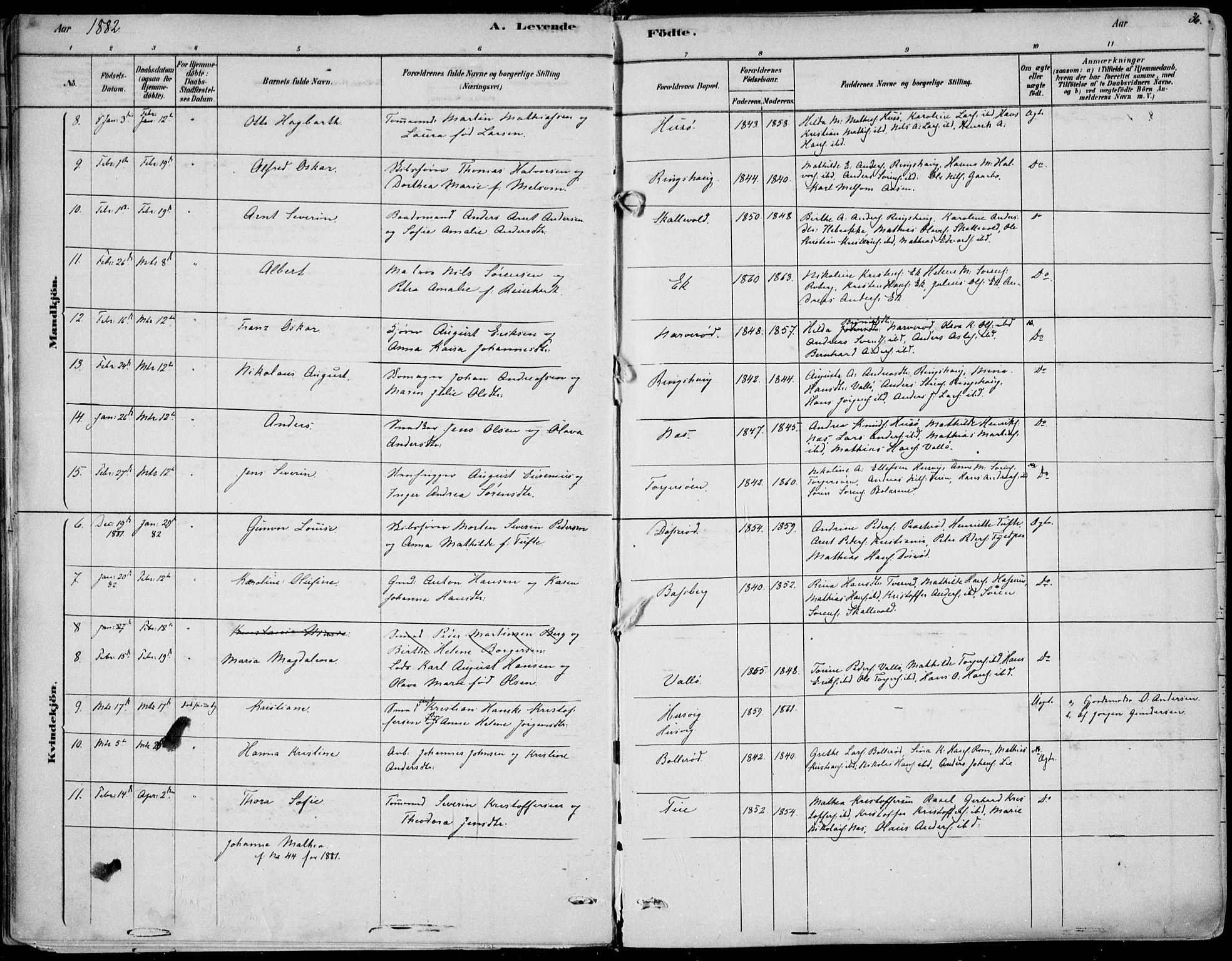 Sem kirkebøker, AV/SAKO-A-5/F/Fb/L0004: Parish register (official) no. II 4, 1878-1891, p. 36