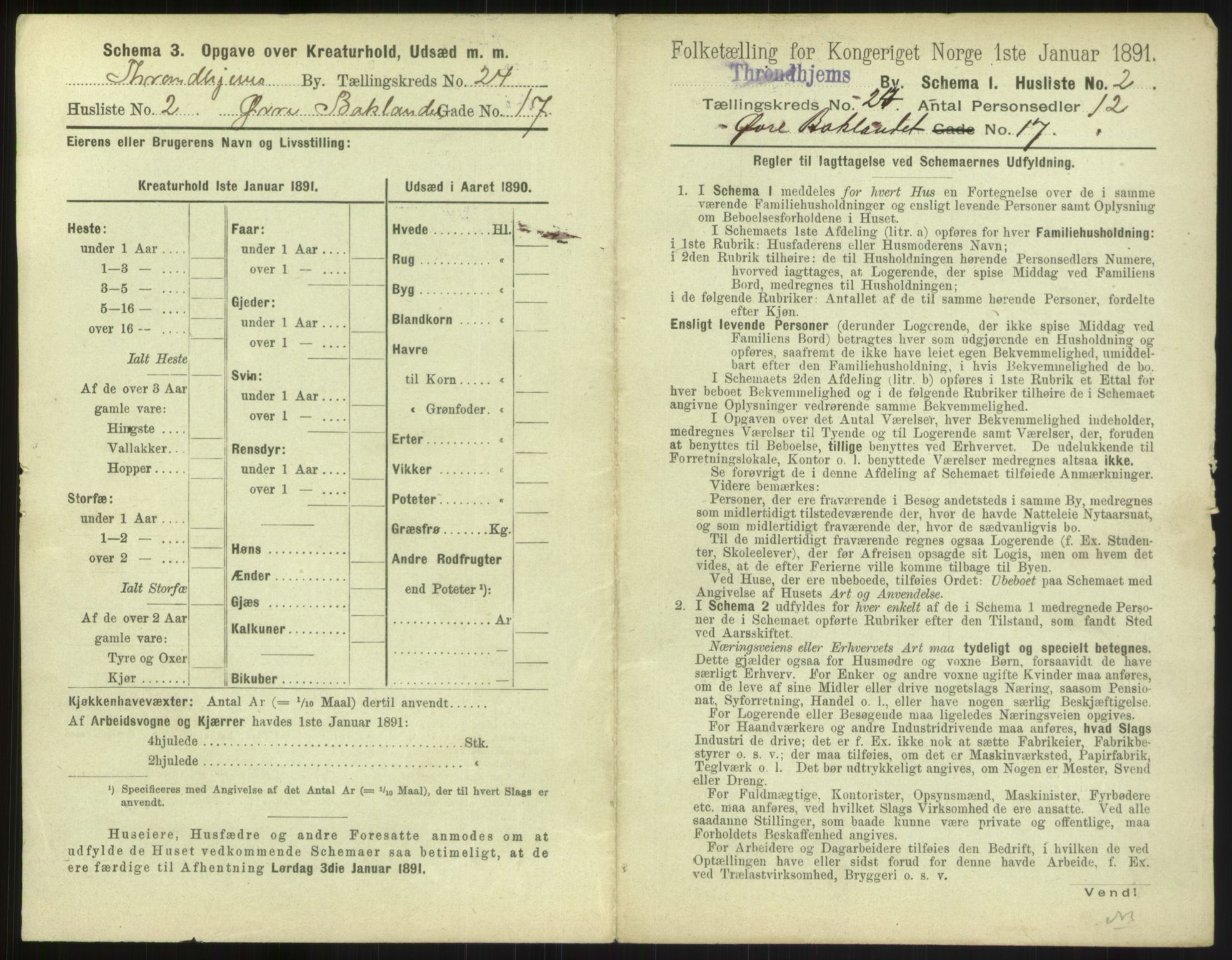 RA, 1891 census for 1601 Trondheim, 1891, p. 1524