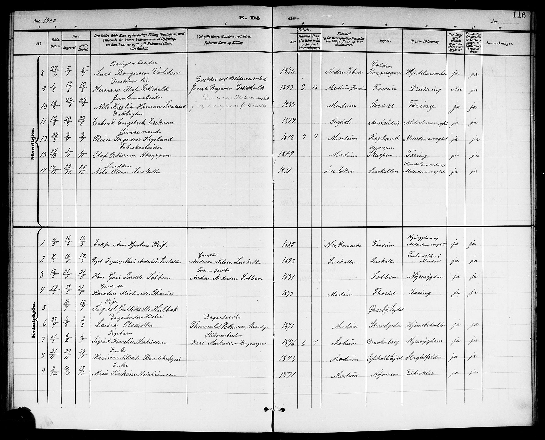 Modum kirkebøker, AV/SAKO-A-234/G/Gc/L0001: Parish register (copy) no. III 1, 1901-1919, p. 116