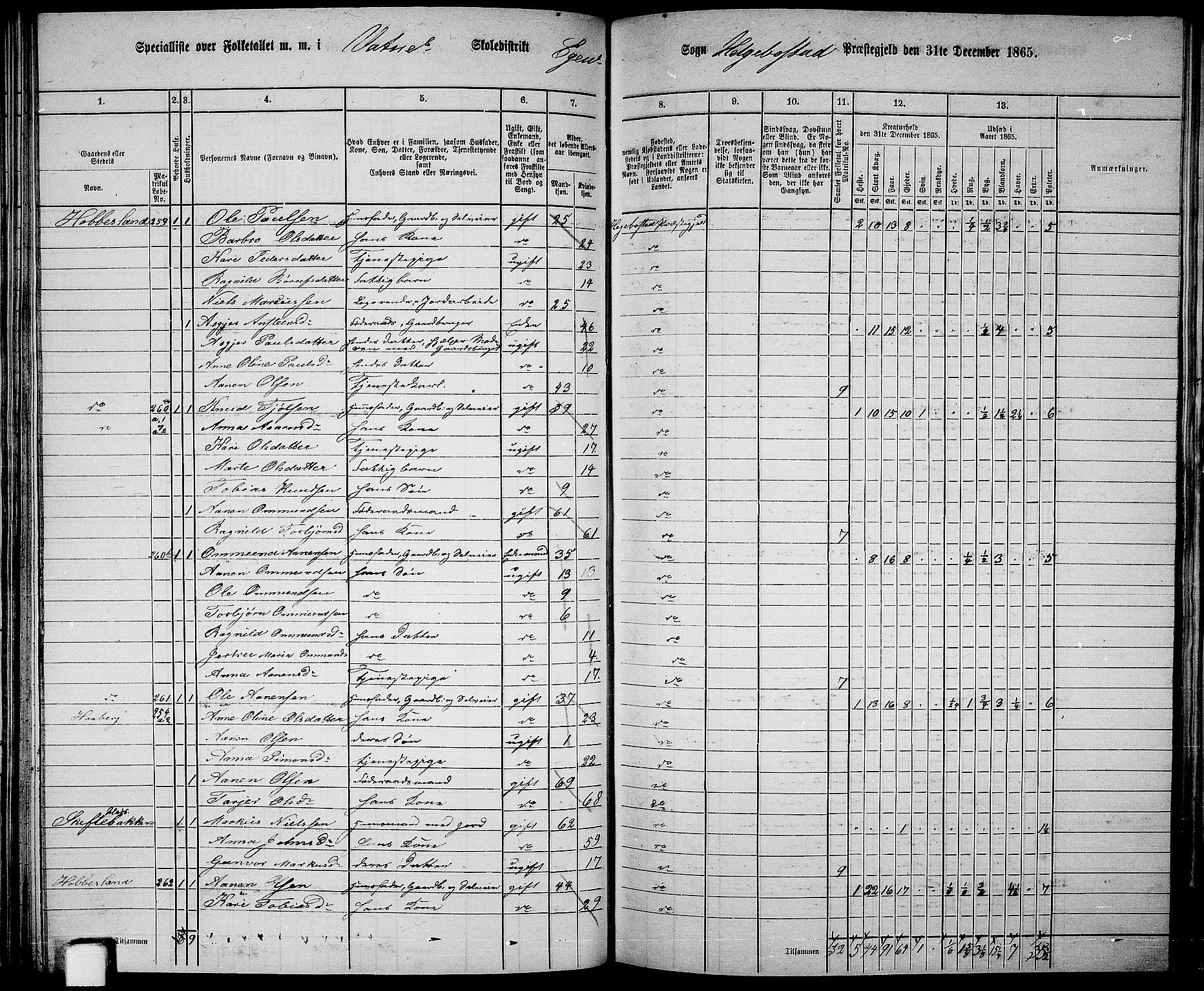 RA, 1865 census for Hægebostad, 1865, p. 76