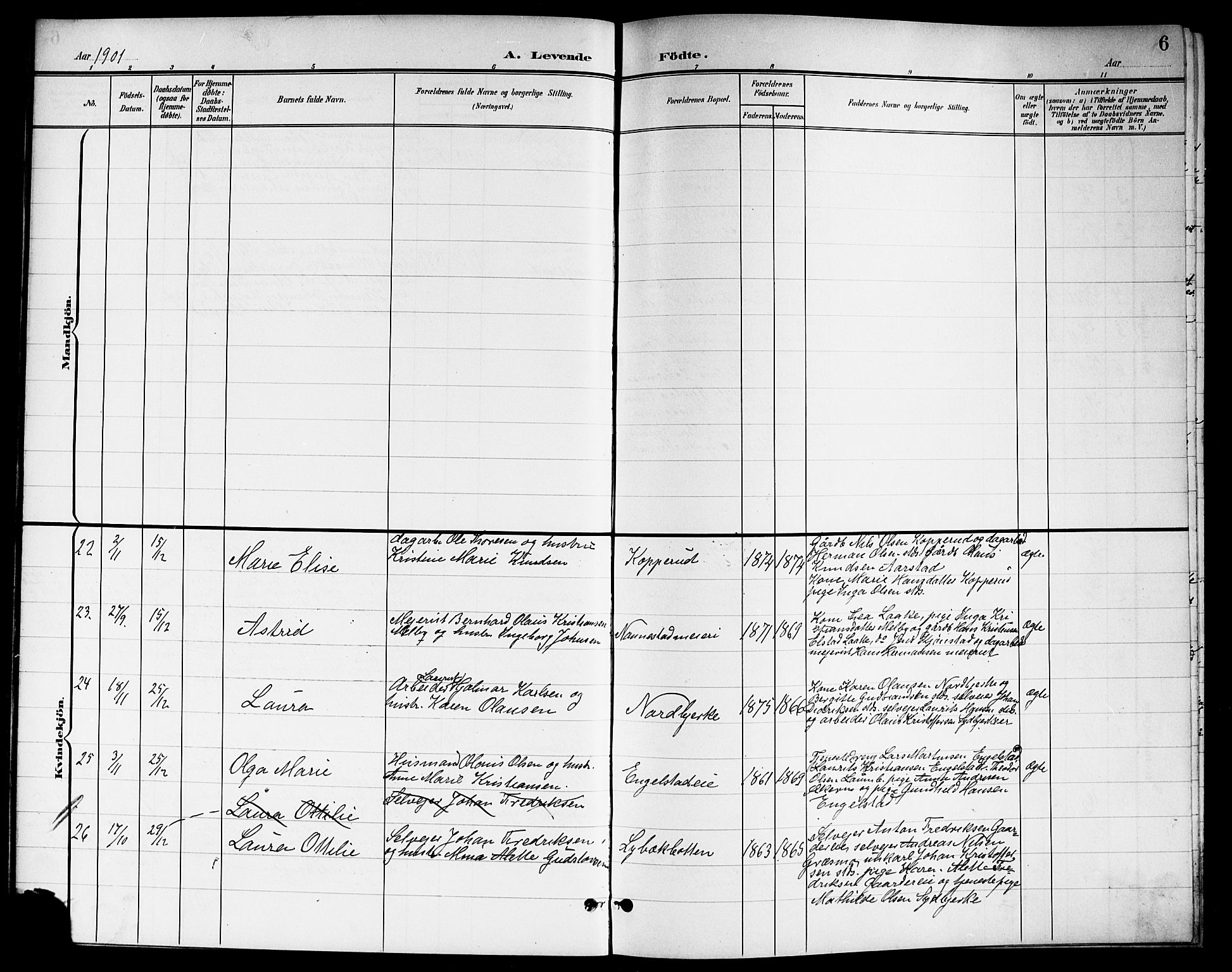 Nannestad prestekontor Kirkebøker, SAO/A-10414a/G/Ga/L0002: Parish register (copy) no. I 2, 1901-1913, p. 6