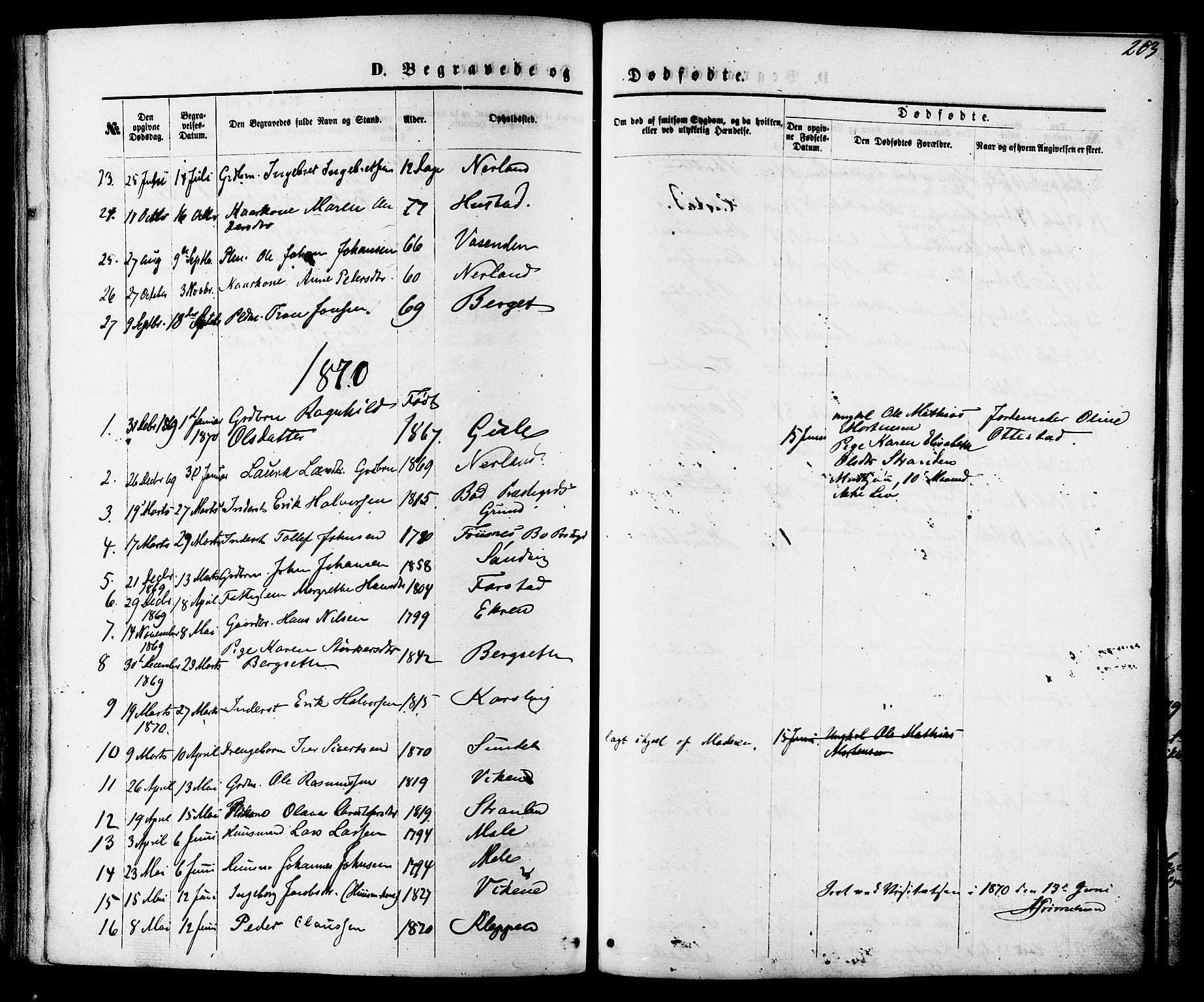 Ministerialprotokoller, klokkerbøker og fødselsregistre - Møre og Romsdal, AV/SAT-A-1454/566/L0768: Parish register (official) no. 566A07, 1869-1881, p. 203