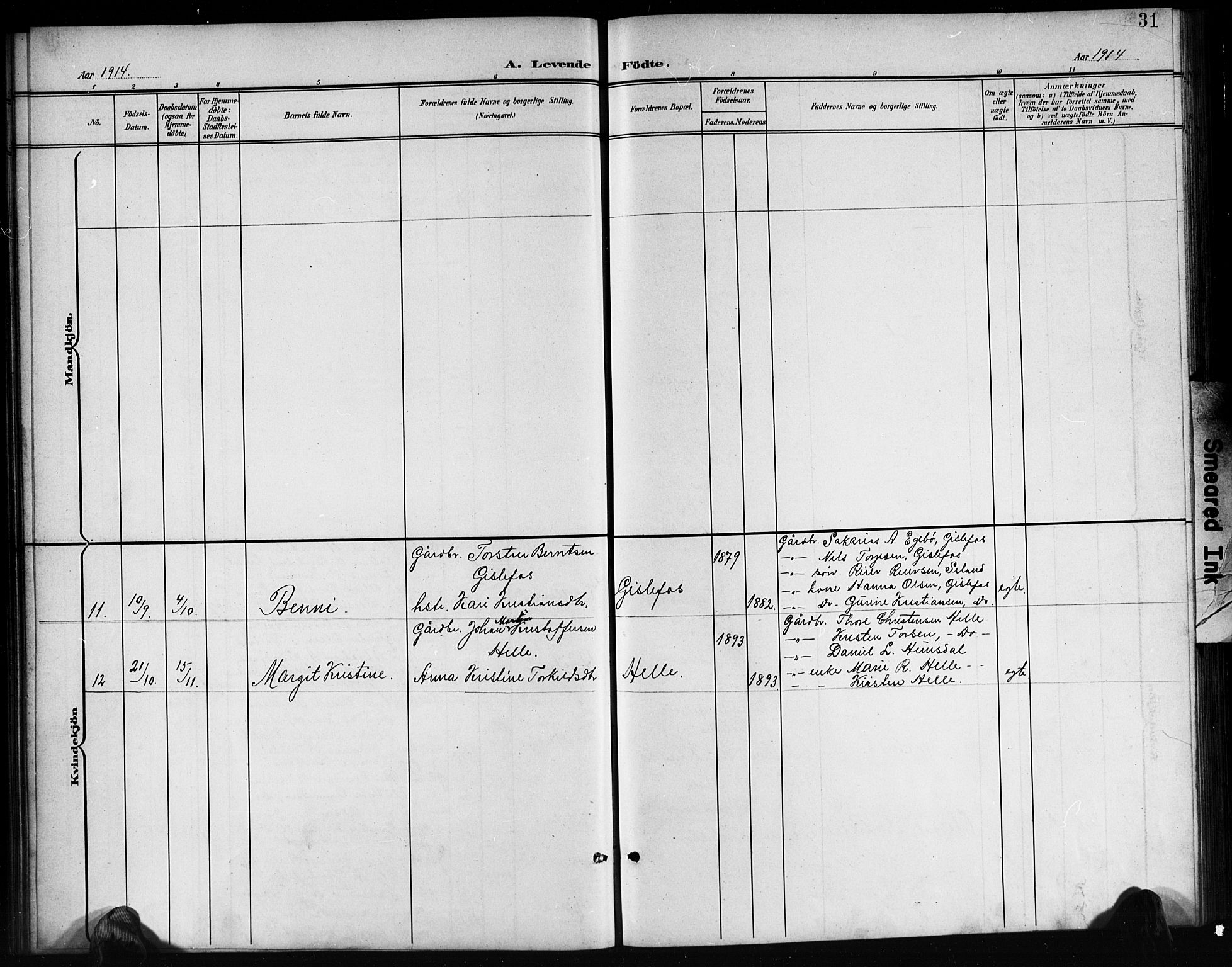 Nord-Audnedal sokneprestkontor, AV/SAK-1111-0032/F/Fb/Fba/L0004: Parish register (copy) no. B 4, 1901-1917, p. 31