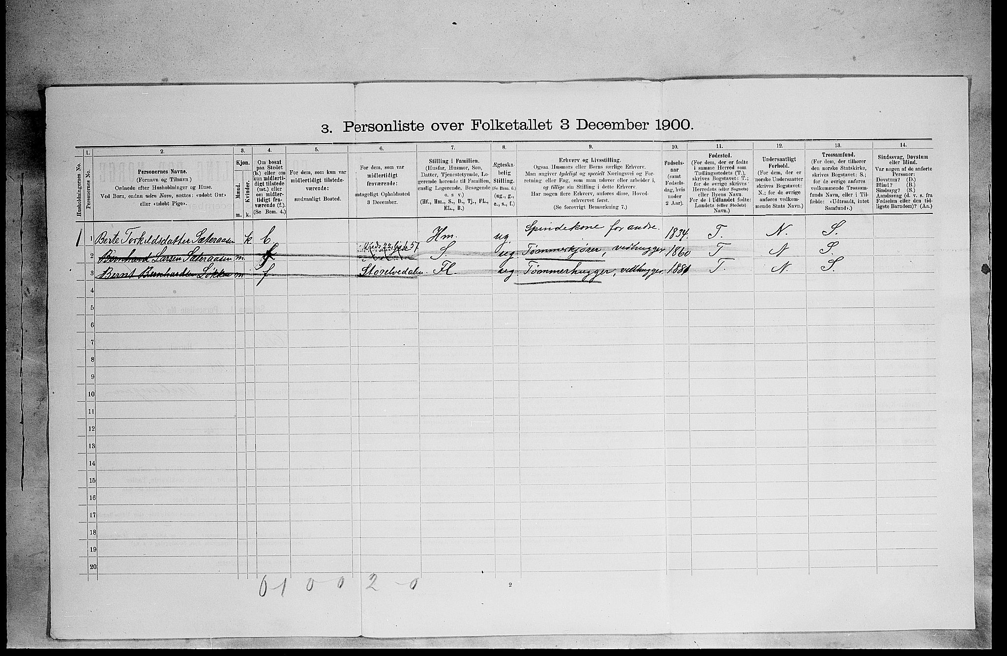 SAH, 1900 census for Elverum, 1900, p. 3000