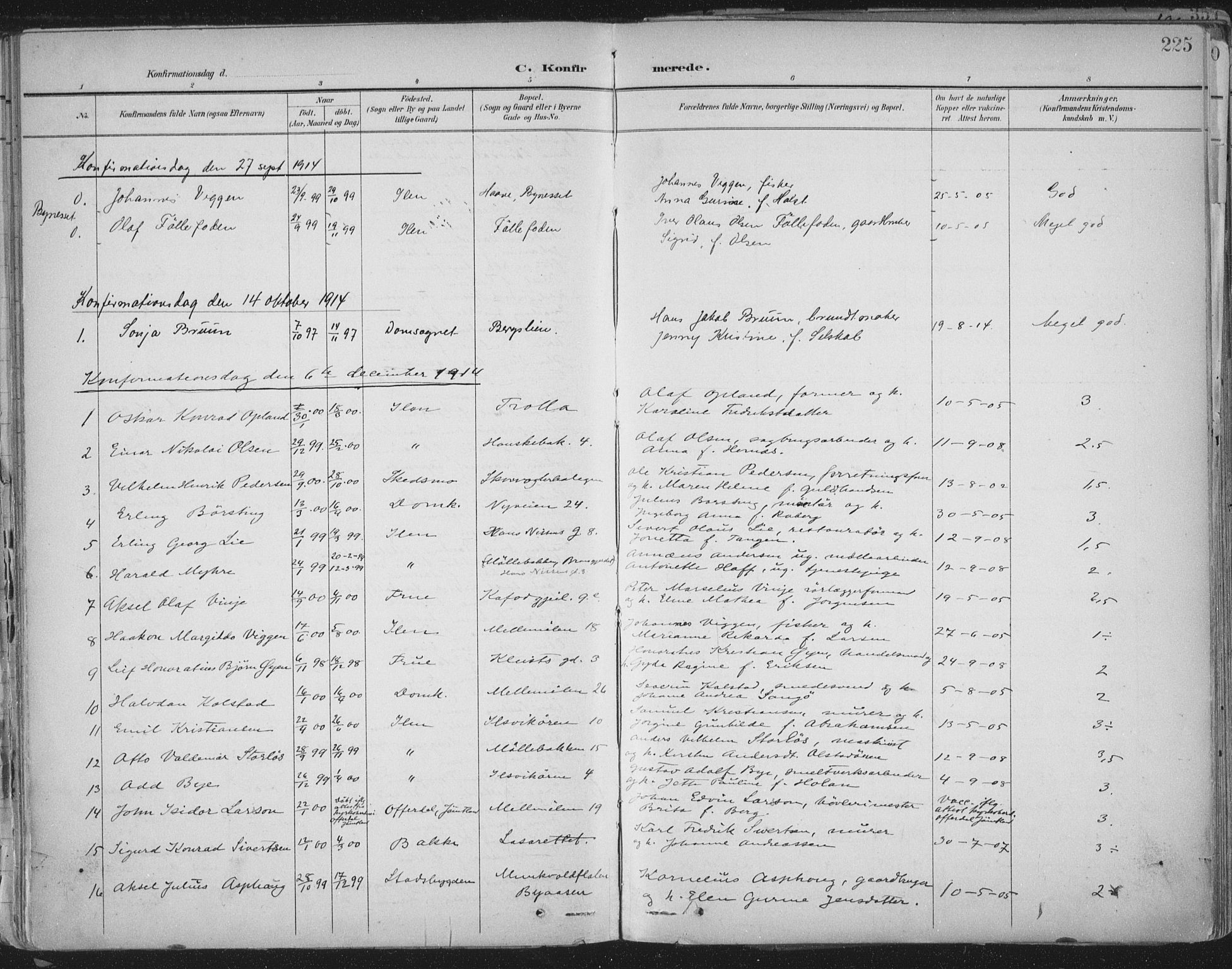 Ministerialprotokoller, klokkerbøker og fødselsregistre - Sør-Trøndelag, AV/SAT-A-1456/603/L0167: Parish register (official) no. 603A06, 1896-1932, p. 225