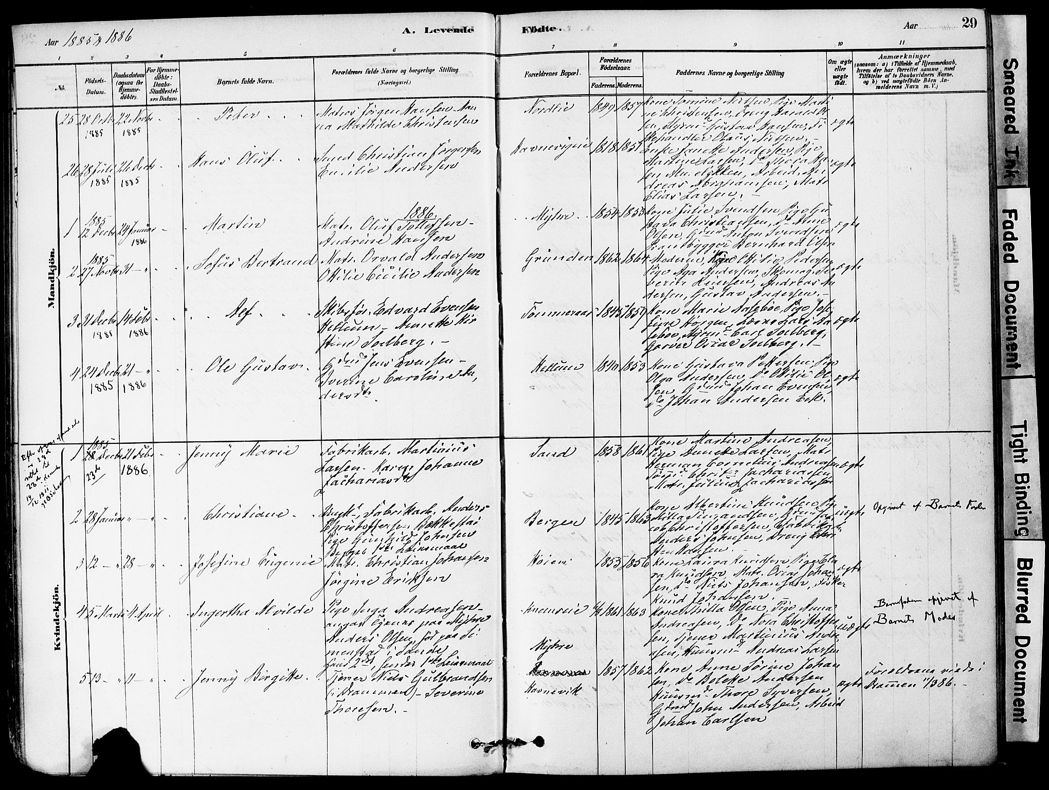 Strømm kirkebøker, AV/SAKO-A-322/F/Fa/L0004: Parish register (official) no. I 4, 1878-1899, p. 29