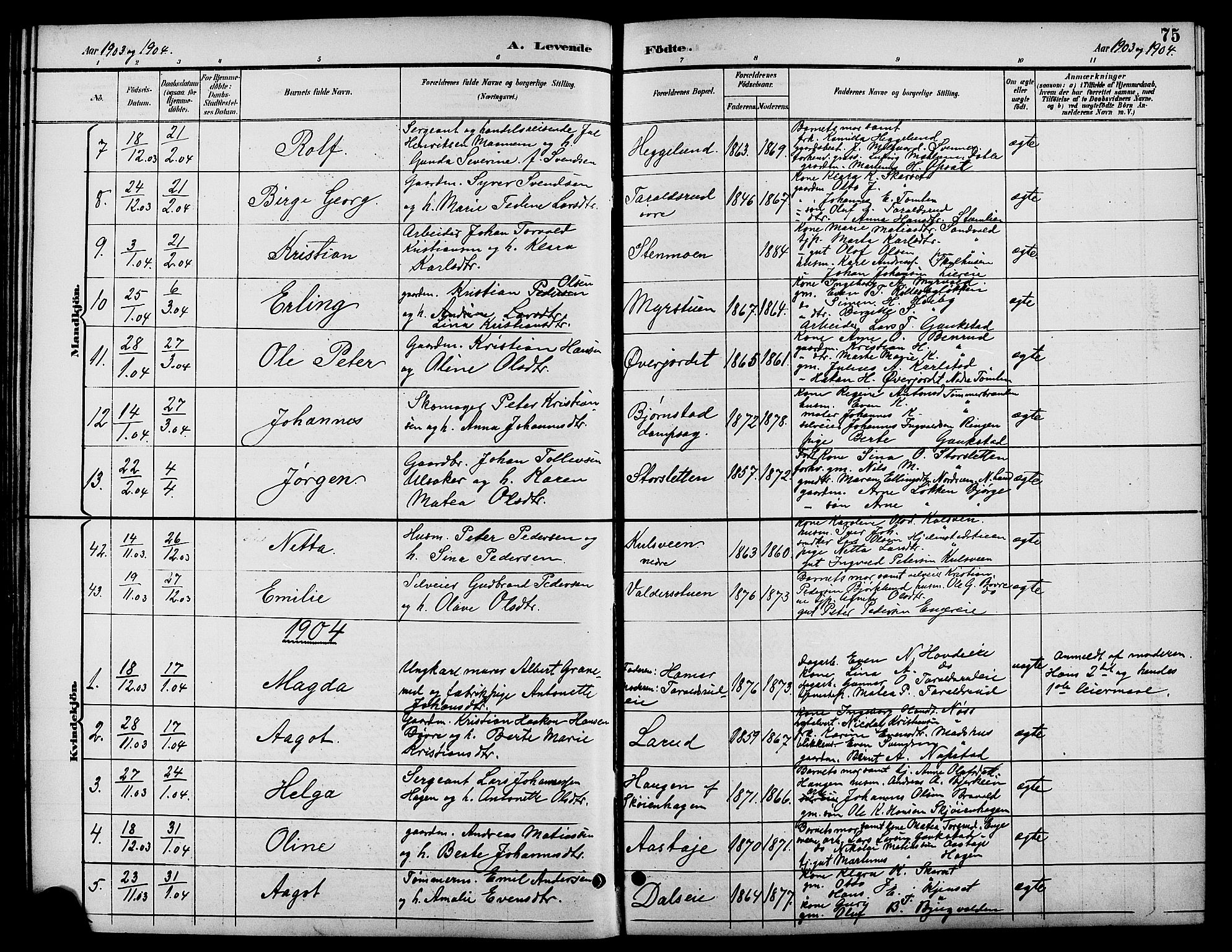 Biri prestekontor, SAH/PREST-096/H/Ha/Hab/L0004: Parish register (copy) no. 4, 1892-1909, p. 75