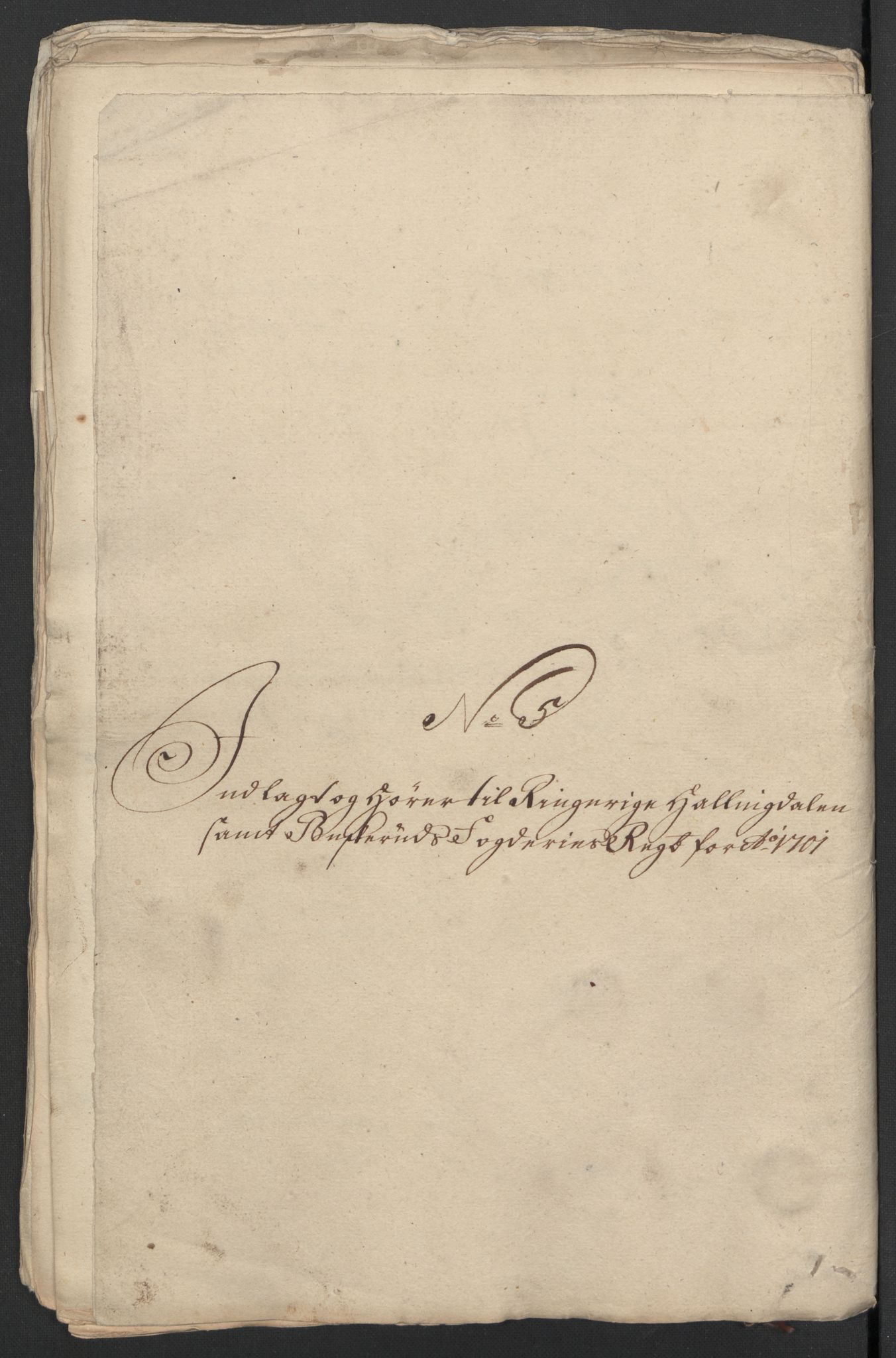 Rentekammeret inntil 1814, Reviderte regnskaper, Fogderegnskap, RA/EA-4092/R22/L1458: Fogderegnskap Ringerike, Hallingdal og Buskerud, 1701, p. 292