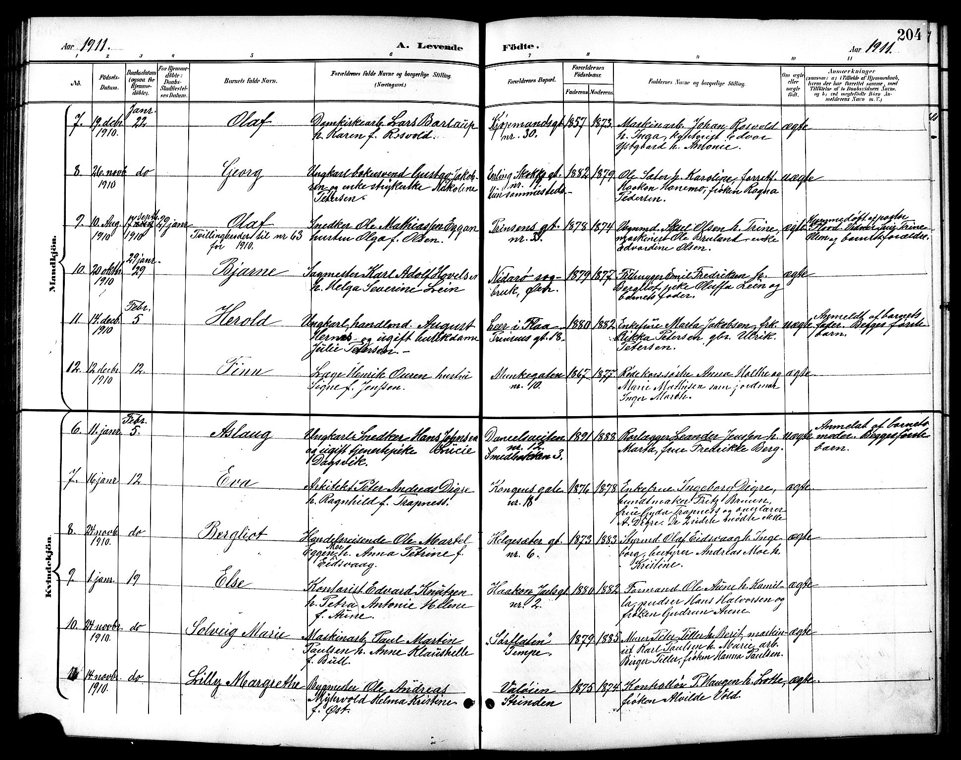 Ministerialprotokoller, klokkerbøker og fødselsregistre - Sør-Trøndelag, AV/SAT-A-1456/601/L0094: Parish register (copy) no. 601C12, 1898-1911, p. 204