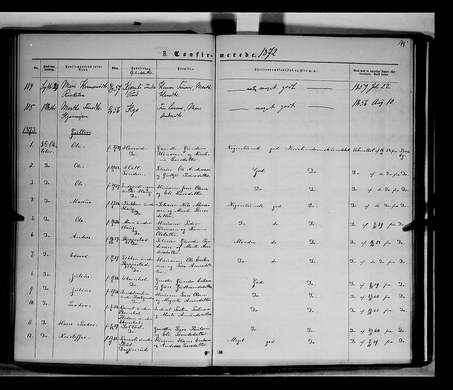 Nord-Odal prestekontor, AV/SAH-PREST-032/H/Ha/Haa/L0004: Parish register (official) no. 4, 1866-1873, p. 145