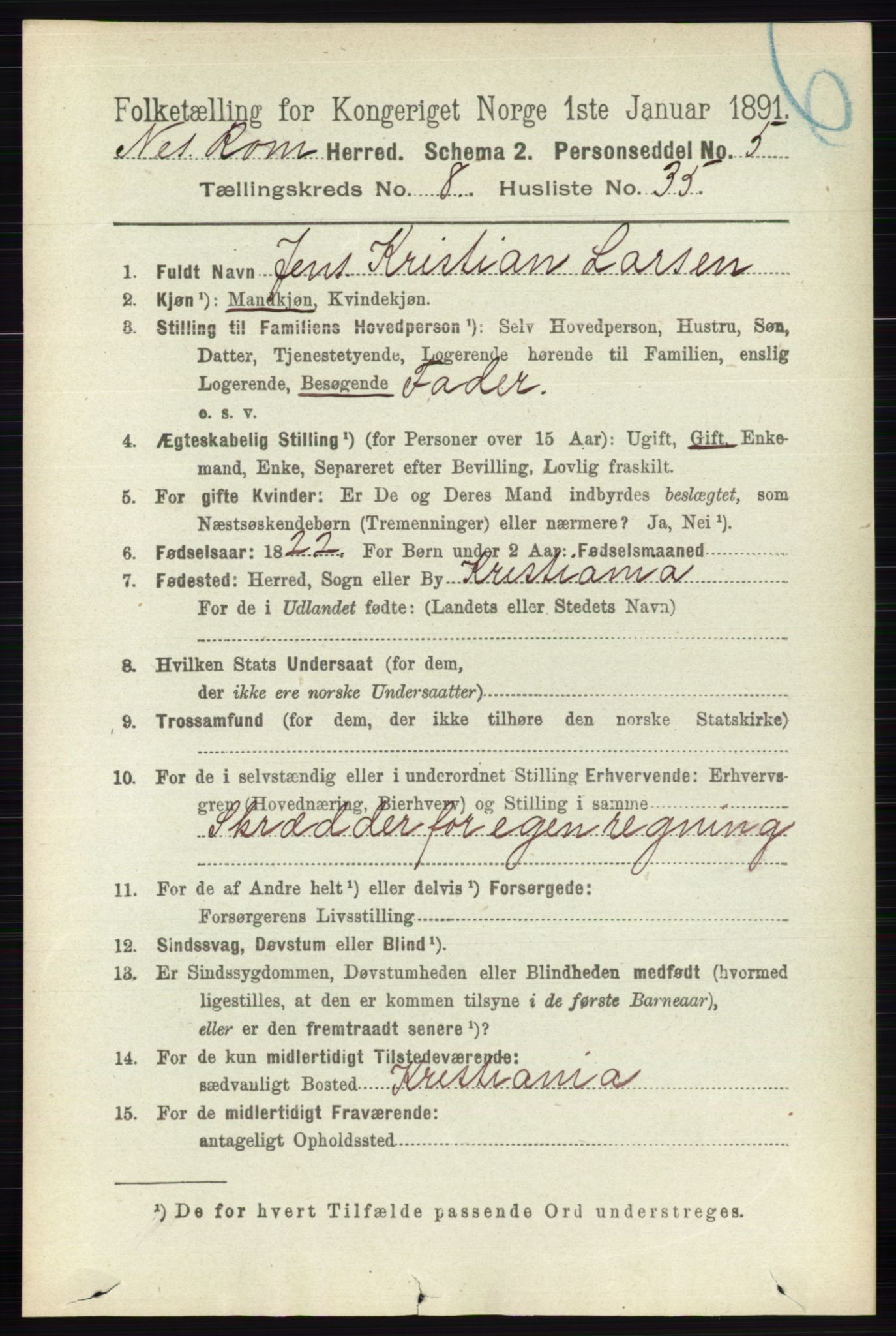 RA, 1891 census for 0236 Nes, 1891, p. 4828
