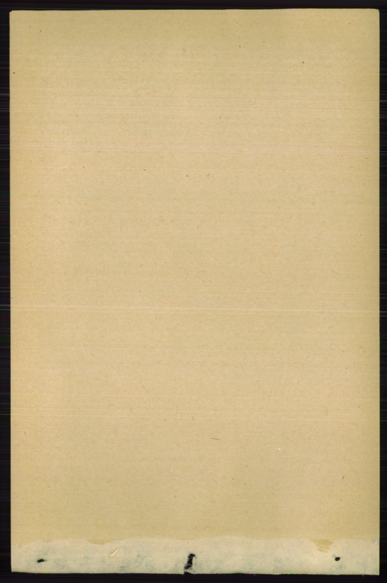 RA, 1891 census for 0717 Borre, 1891, p. 2010
