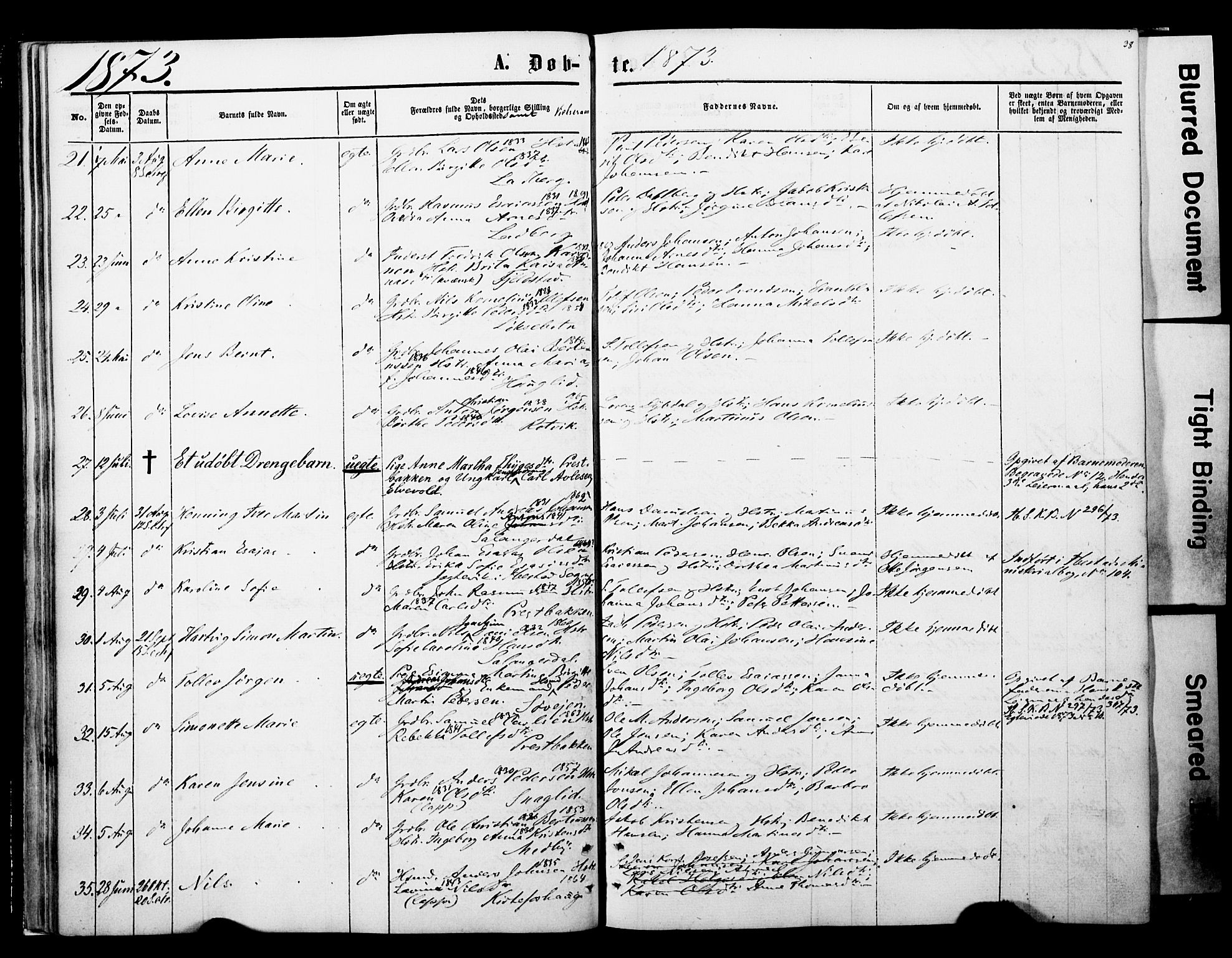 Ibestad sokneprestembete, SATØ/S-0077/H/Ha/Haa/L0013kirke: Parish register (official) no. 13, 1865-1879, p. 38