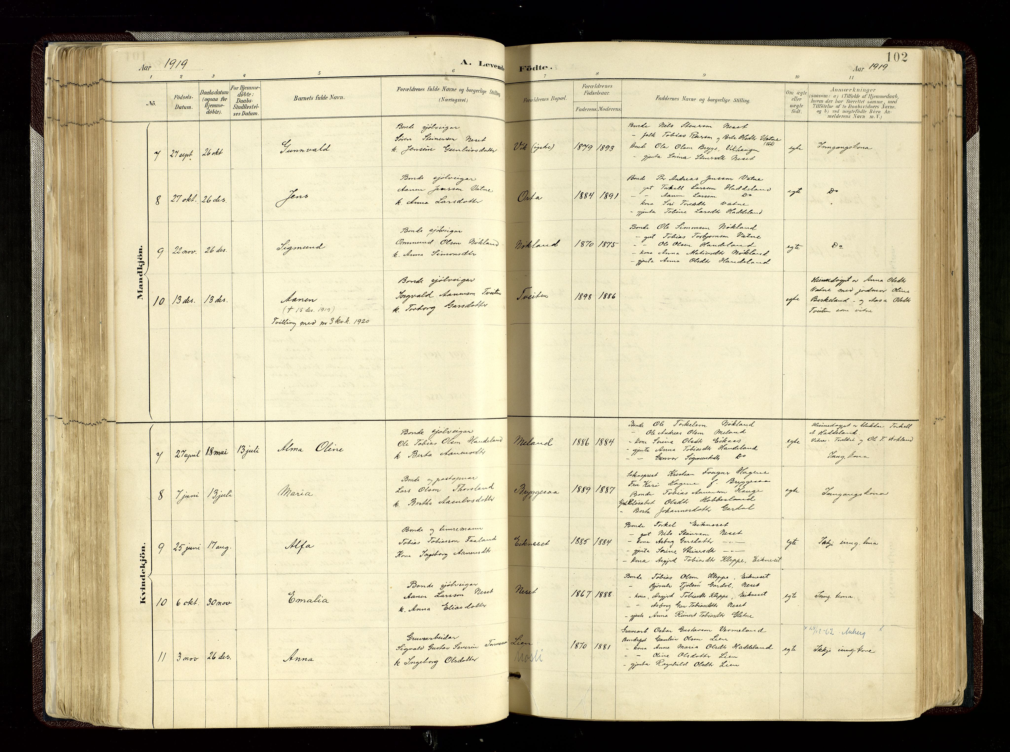 Hægebostad sokneprestkontor, SAK/1111-0024/F/Fa/Fab/L0004: Parish register (official) no. A 4, 1887-1929, p. 102