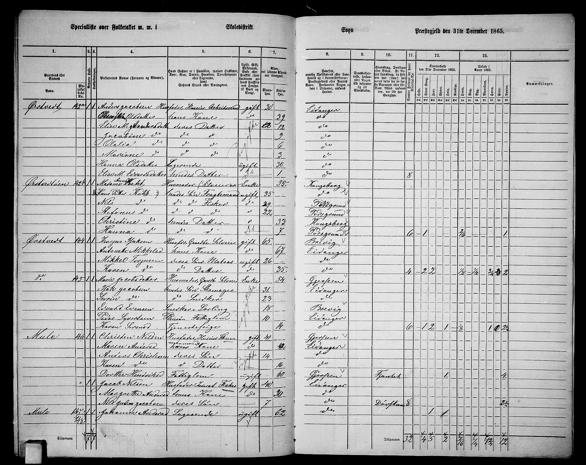 RA, 1865 census for Eidanger, 1865, p. 116