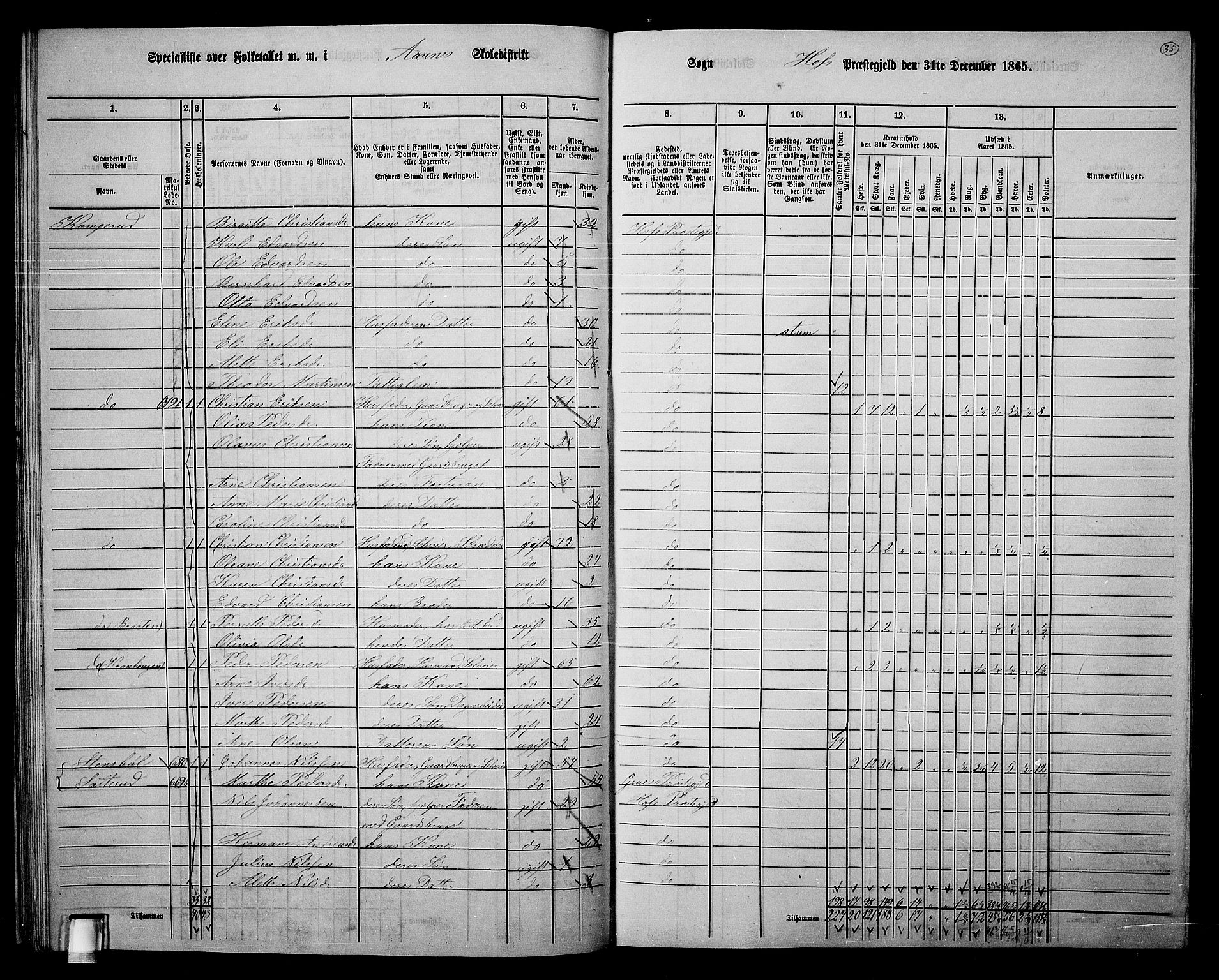 RA, 1865 census for Hof, 1865, p. 32