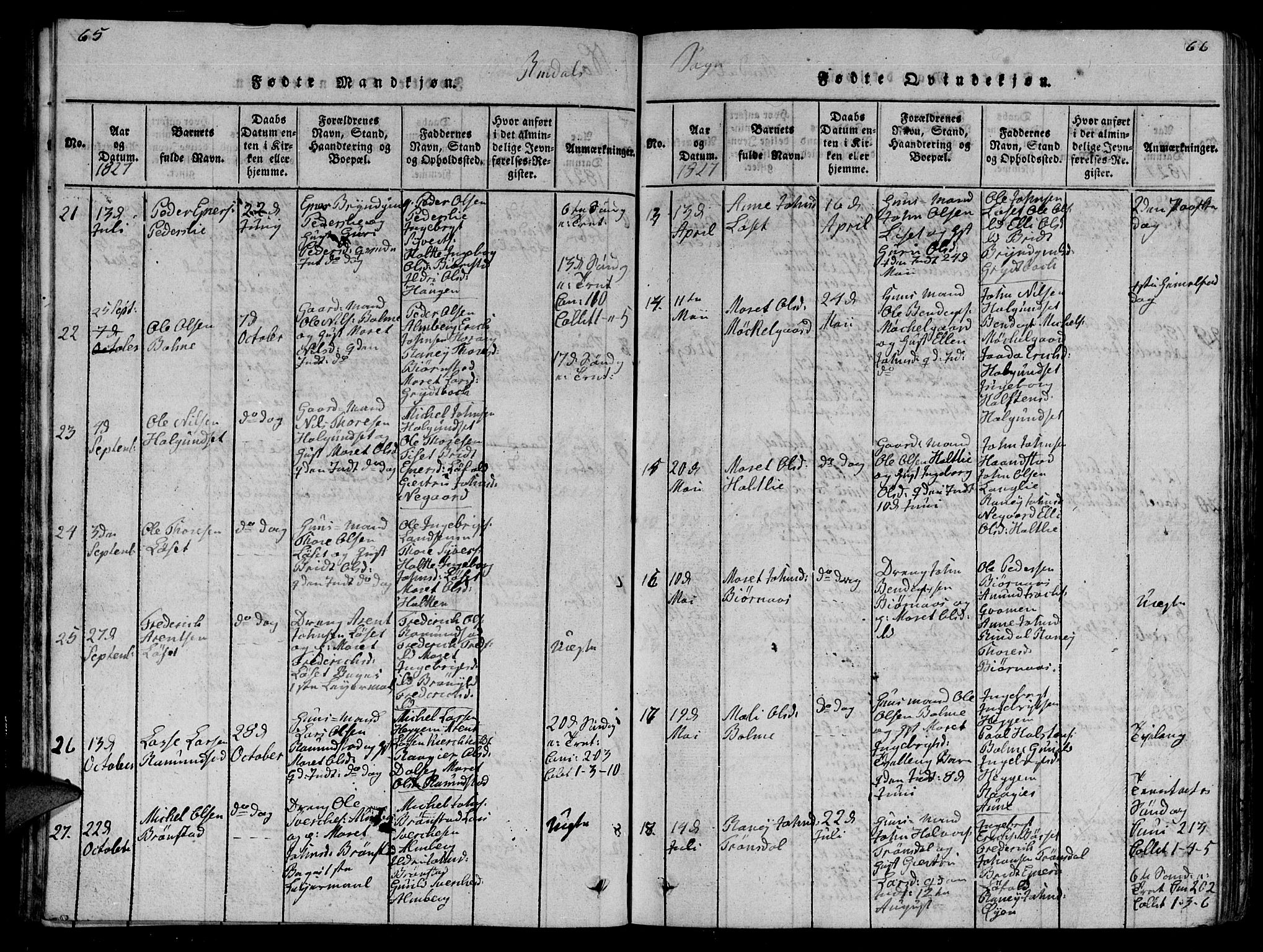 Ministerialprotokoller, klokkerbøker og fødselsregistre - Møre og Romsdal, AV/SAT-A-1454/595/L1050: Parish register (copy) no. 595C02, 1819-1834, p. 65-66